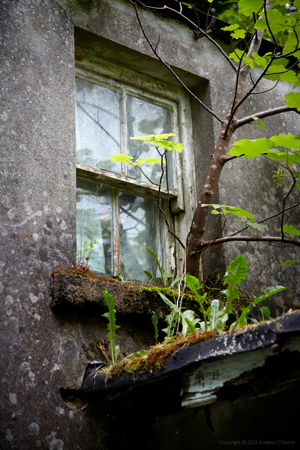 aob-studio-2013-ireland02690.jpg