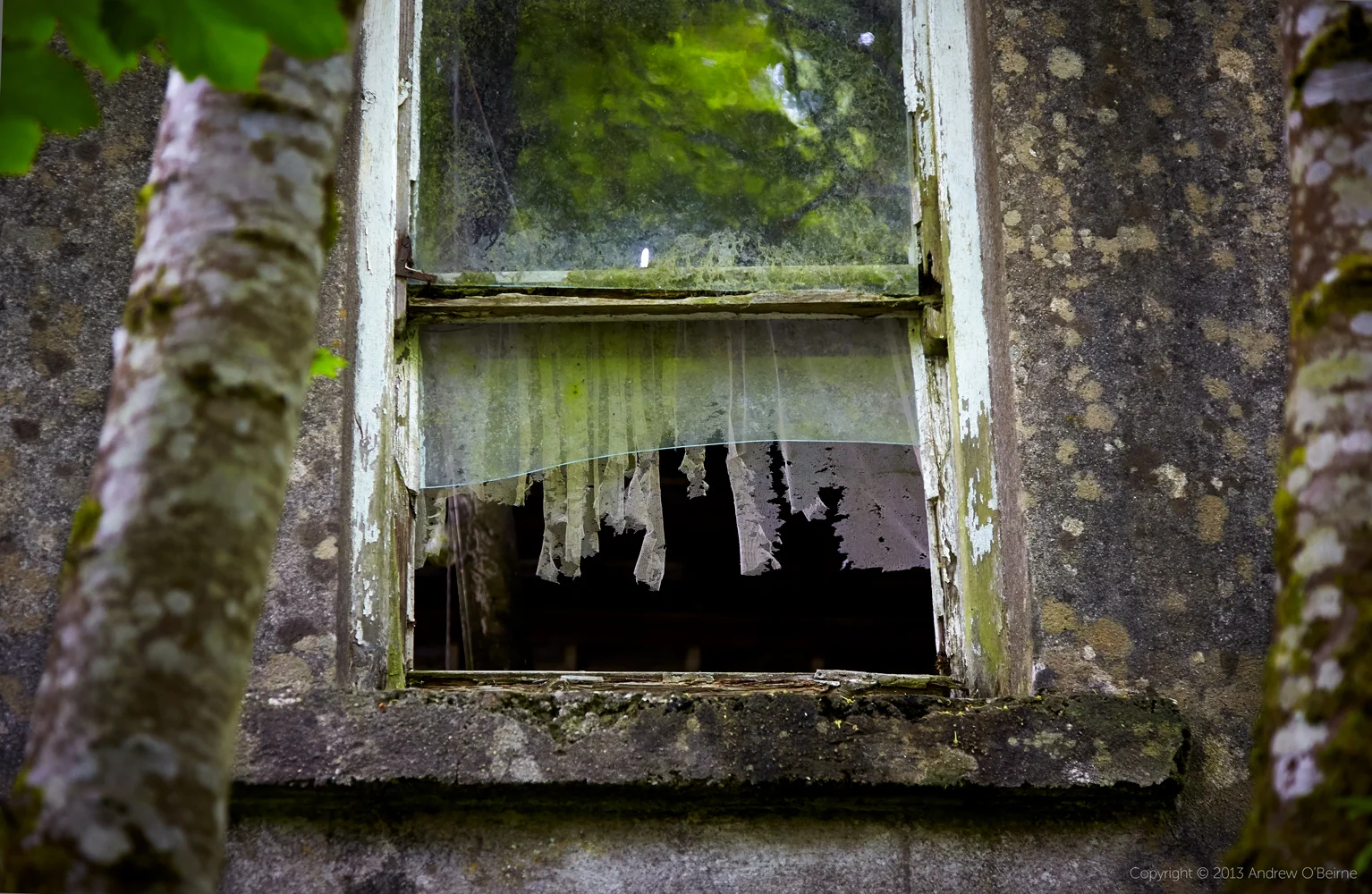 aob-studio-2013-ireland02740.jpg