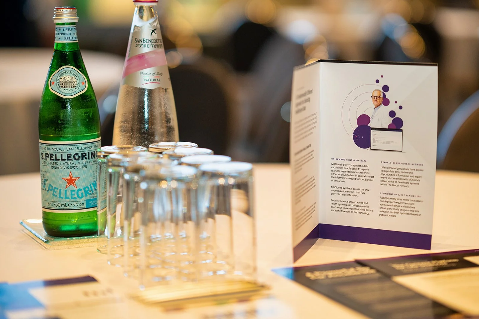 Roei Shor Photography- SEAVA-14_websize.jpg