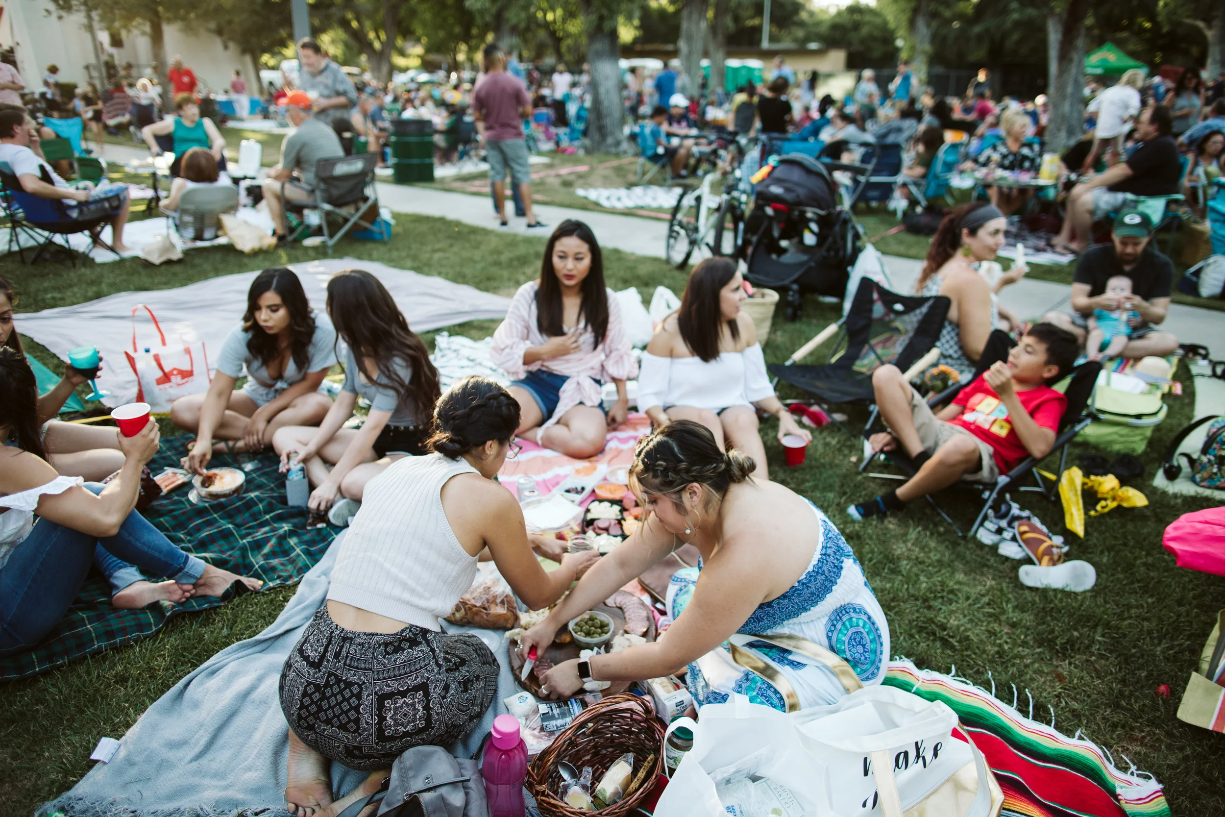 Concert In The Park-10.jpg