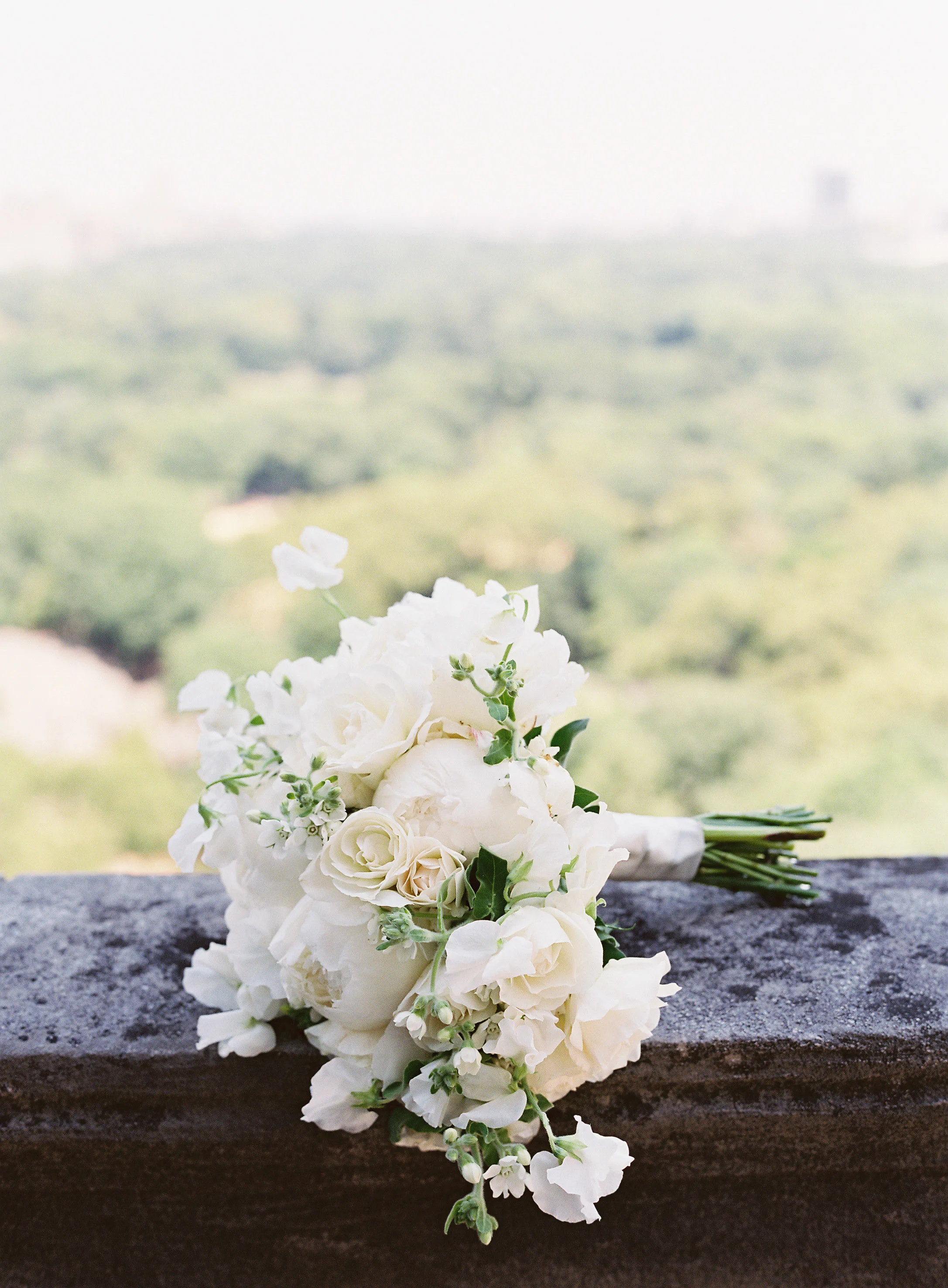 JudyPak-PinkBowtie-NYAC-Wedding-D+C-11.jpg