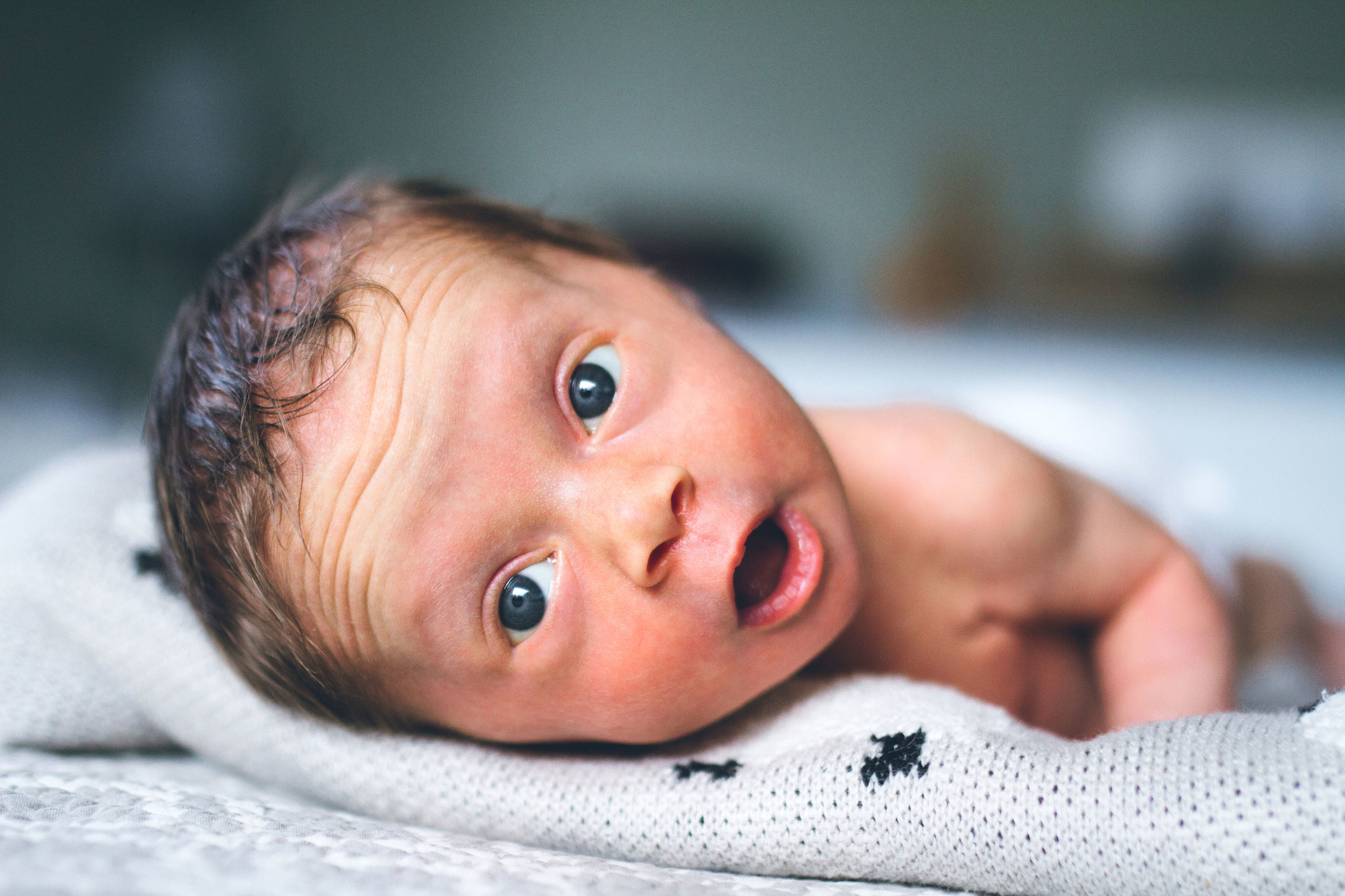 Newborn photo