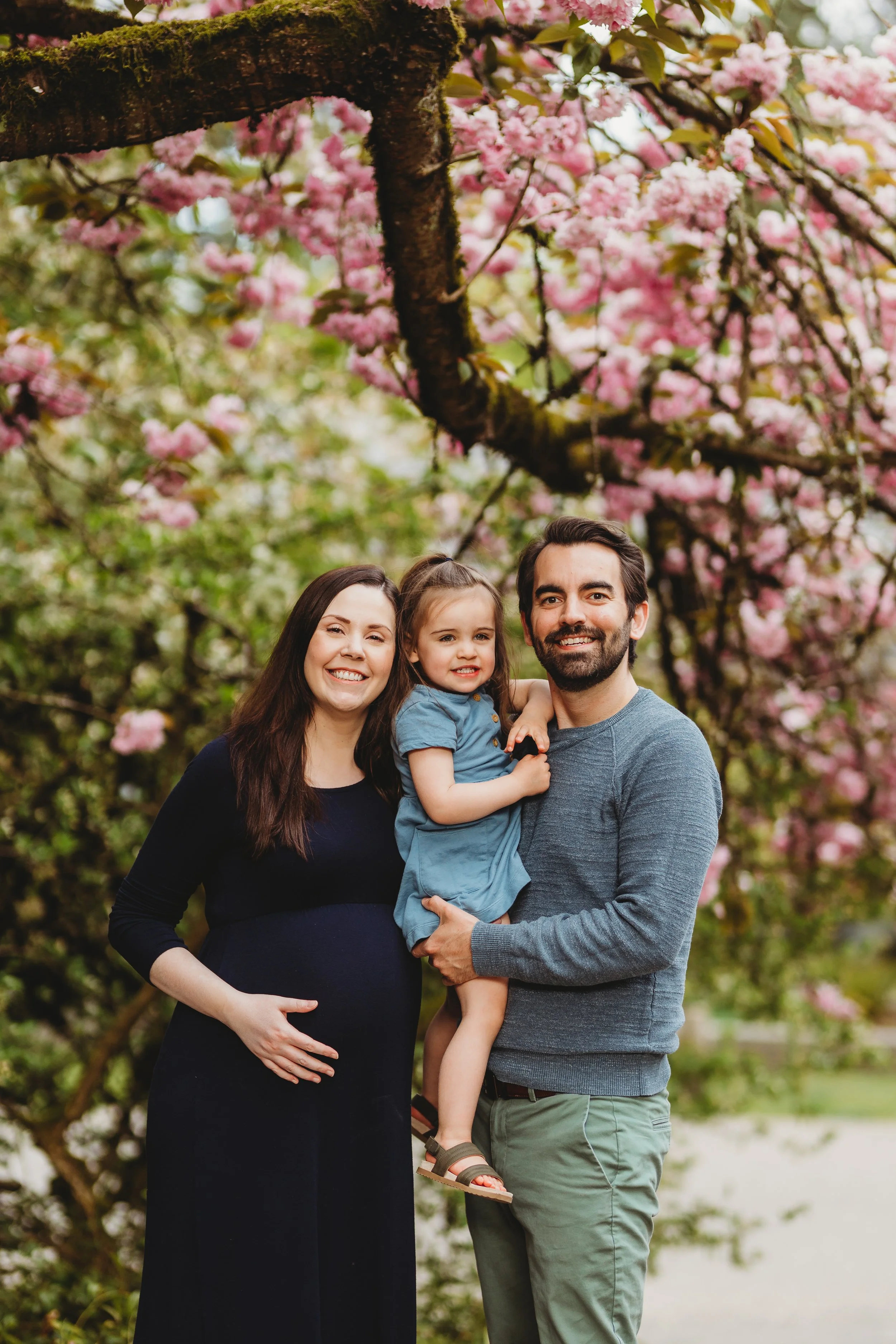 Pregnant mother in navy dress smiling with husband and toddler under pink cherry blossom tree at Washington Park Arboretum in Seattle