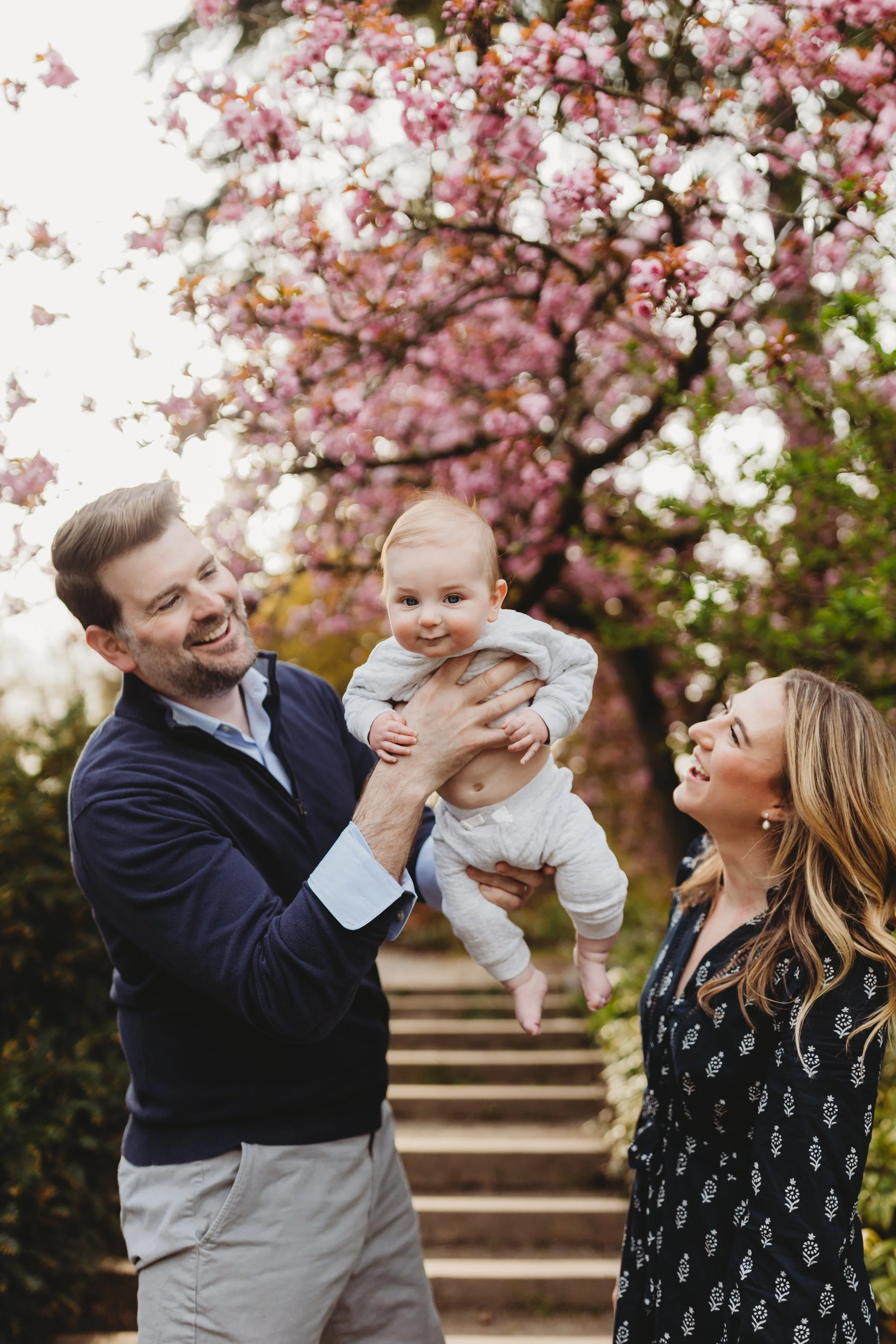Dad lifting smiling baby in the air while mom looks on beneath blooming cherry blossom trees during a Seattle spring mini session.