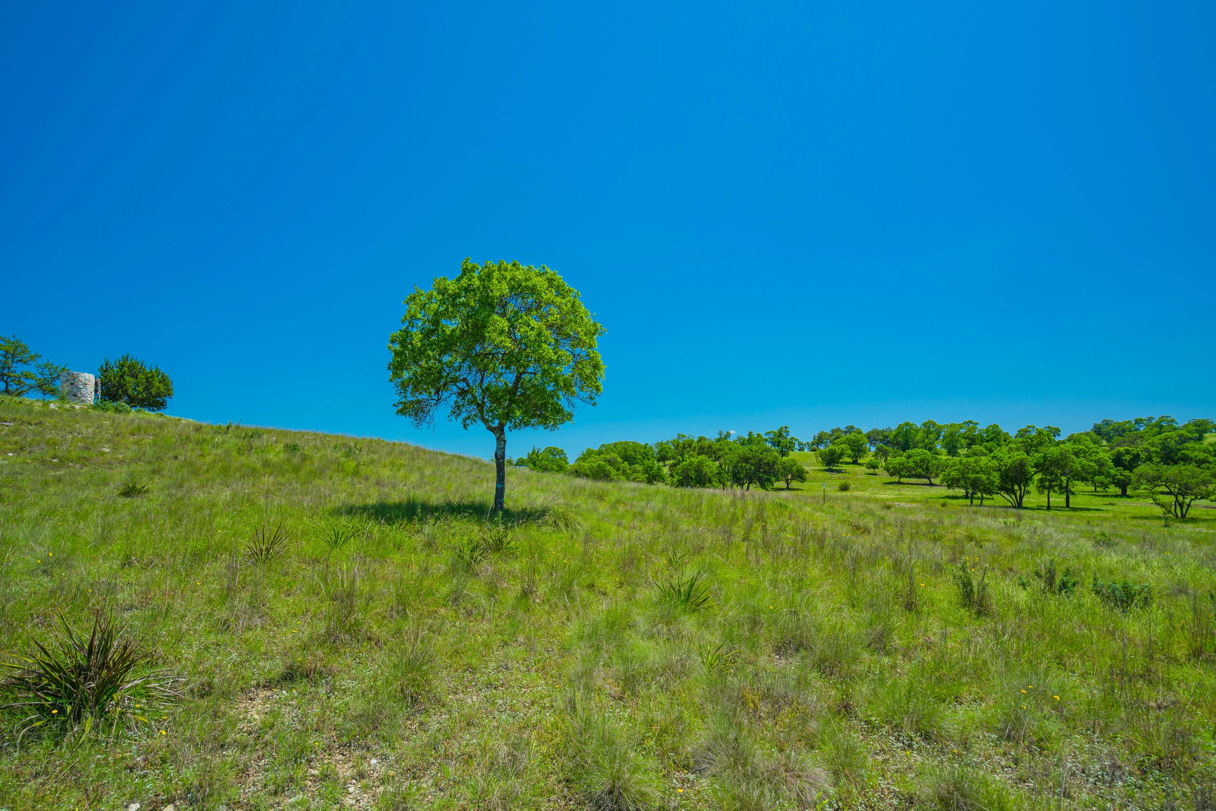 BREEZY HILLS RANCH | Gillespie County