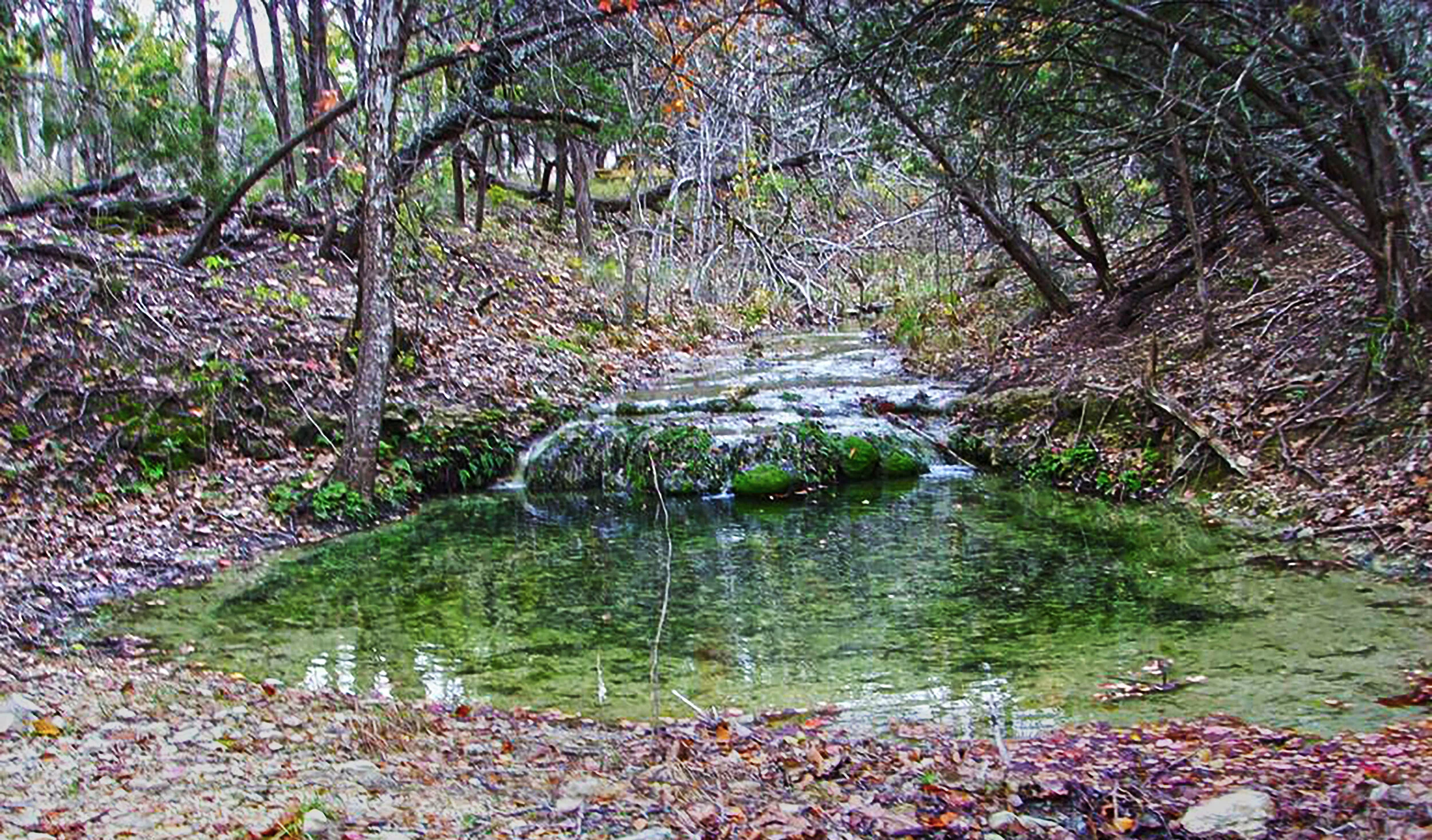 328 E Headwaters Ranch.jpg