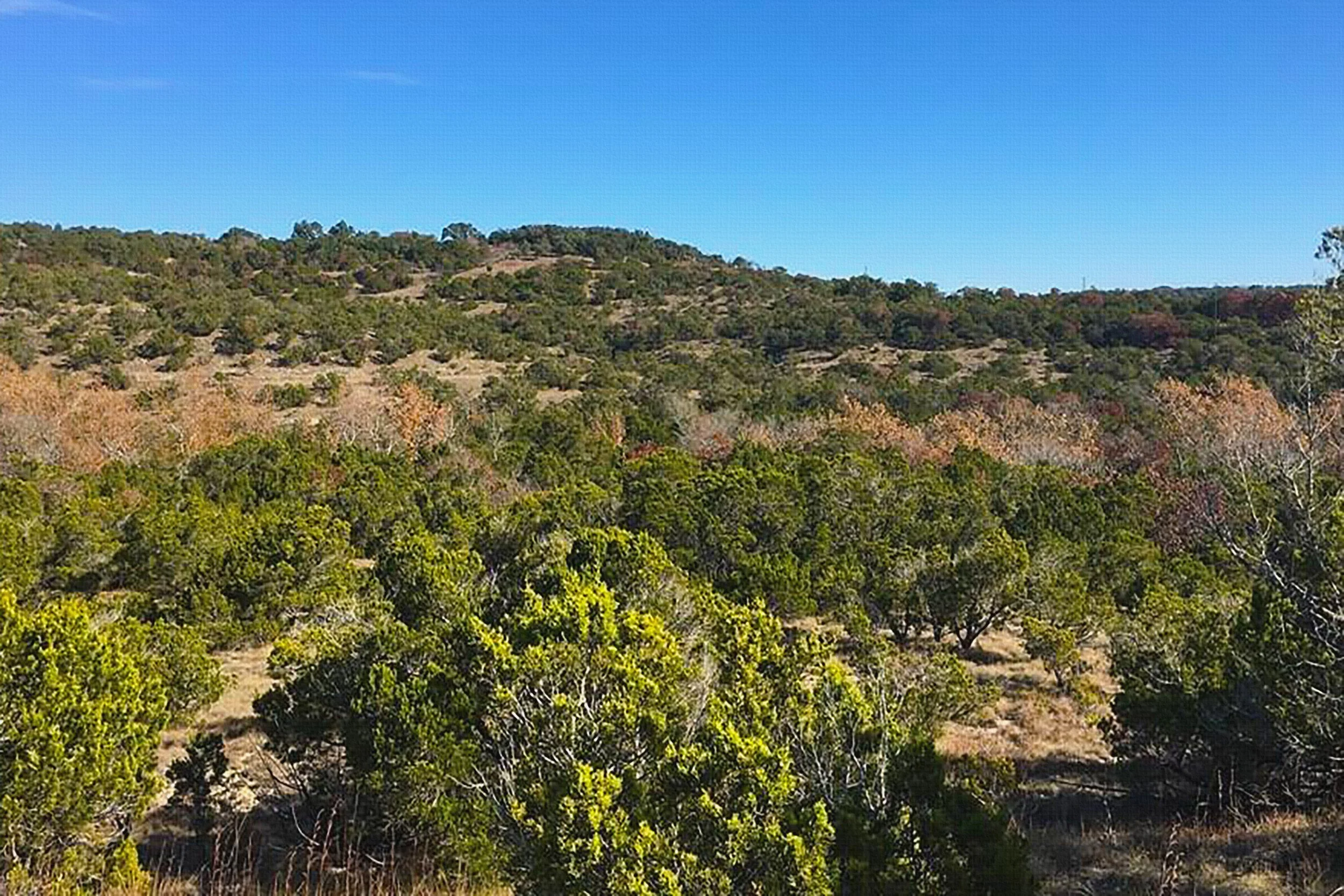 Sumac Ridge #162.jpg