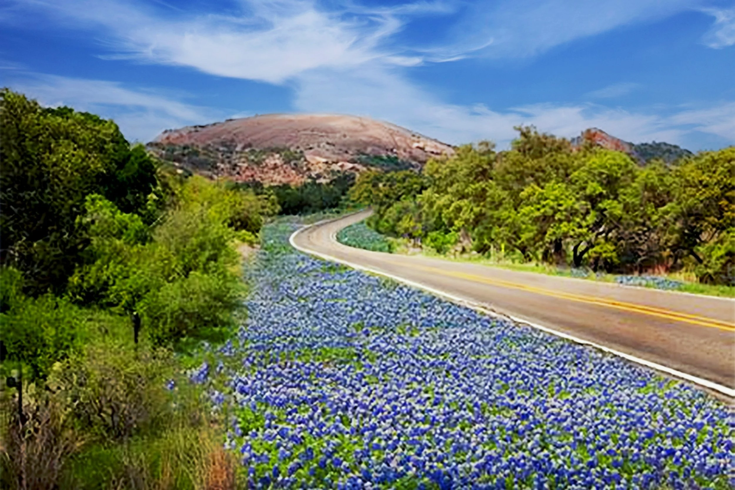 ANDERS REALTY | Gillespie County