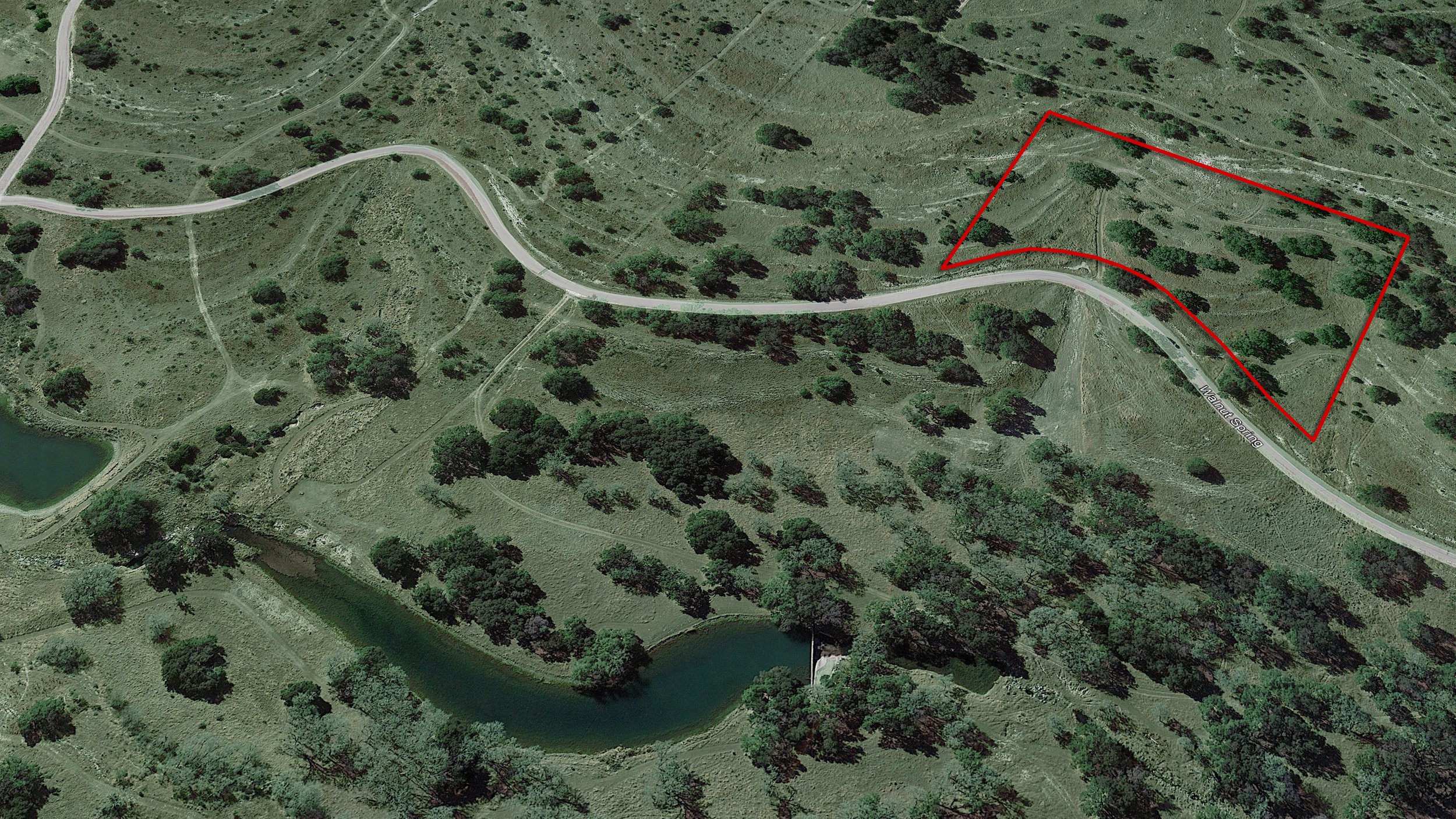Preserve at Walnut Springs #68-3D Aerial.jpg