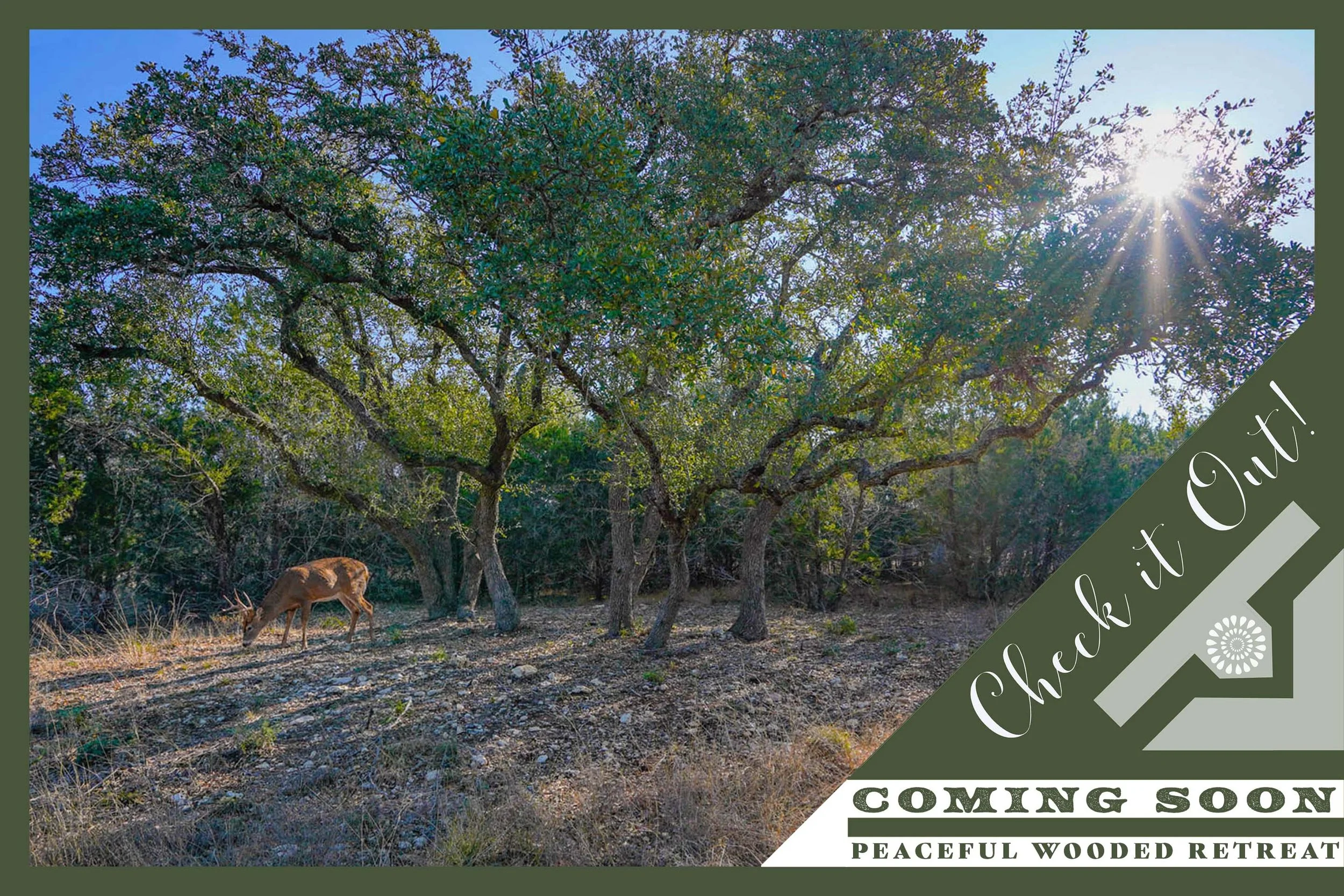 476 MIDTOWN RANCH ROAD | Blanco County