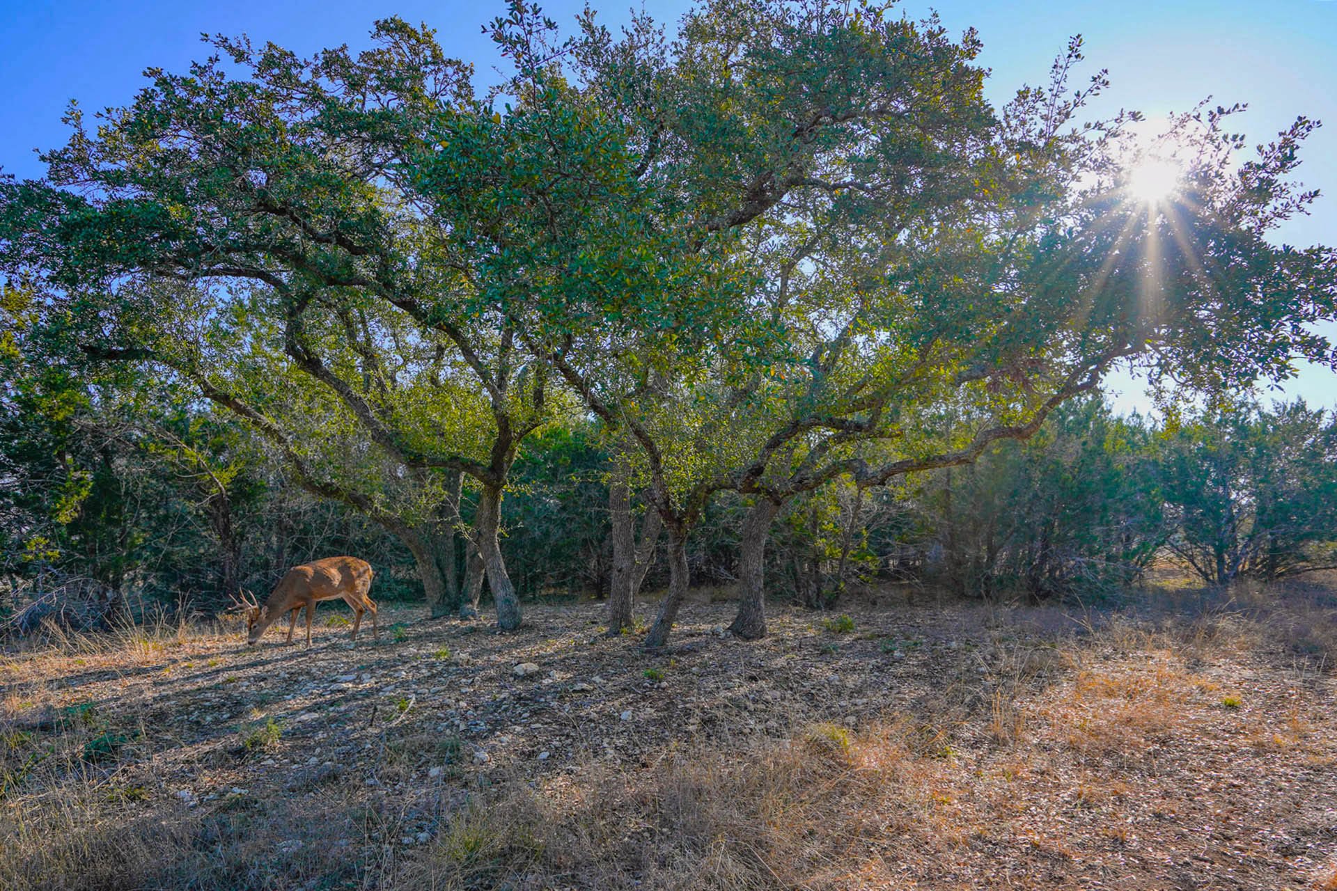 476 MIDTOWN ROAD | Blanco Co