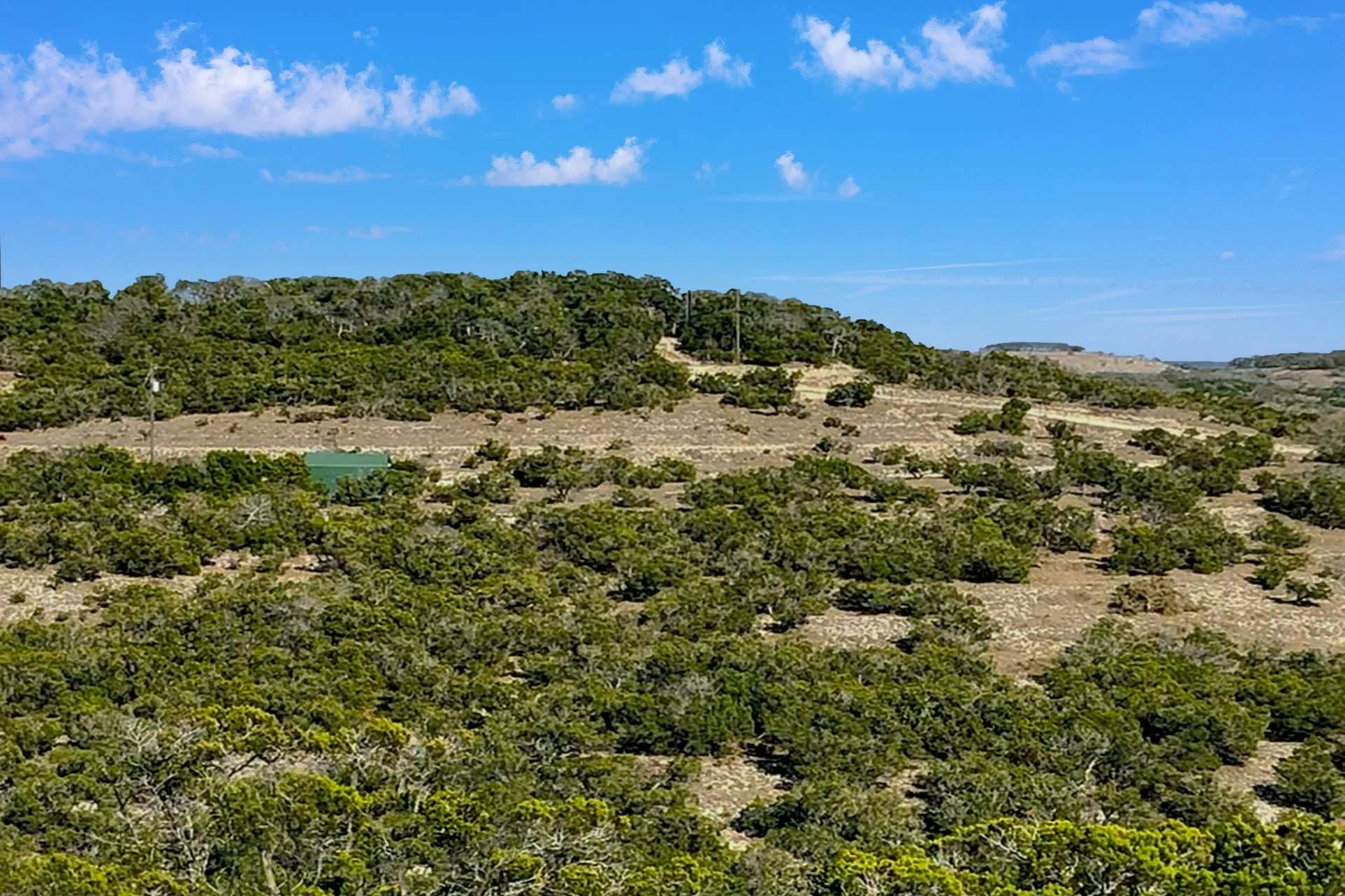 SUMAC RIDGE #162 | Blanco County