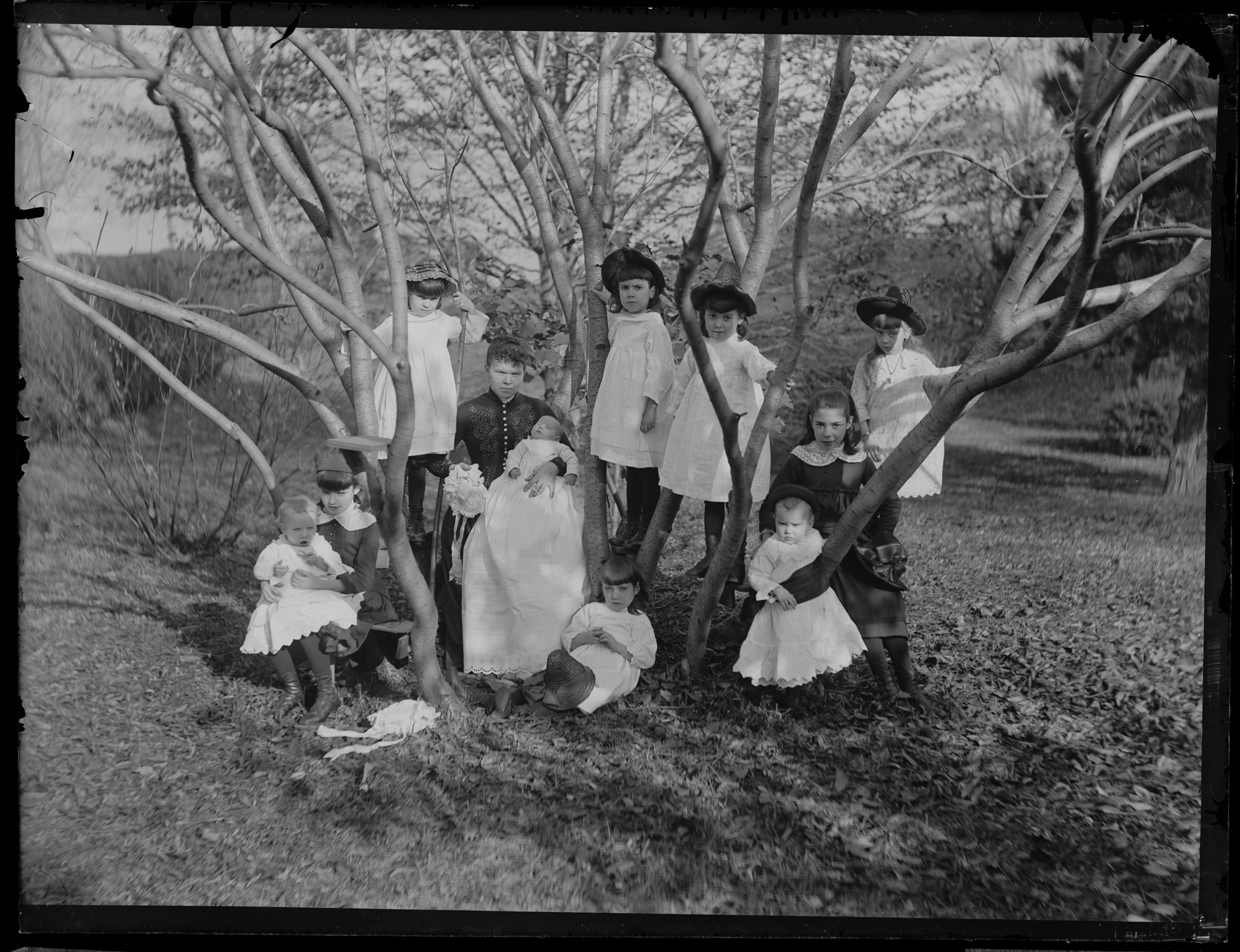 Cocroft children in the trees, Clear Comfort, November 2, 1886