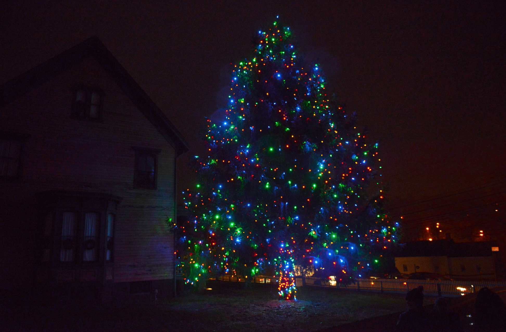 A Christmas Tree Story  At Historic Richmond Town