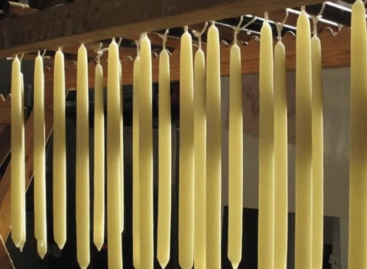 Winter Activities Provide a Welcome Respite for Visitors