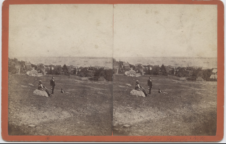 View of Ward Hill in Tompkinsville, ca. 1878-1885.