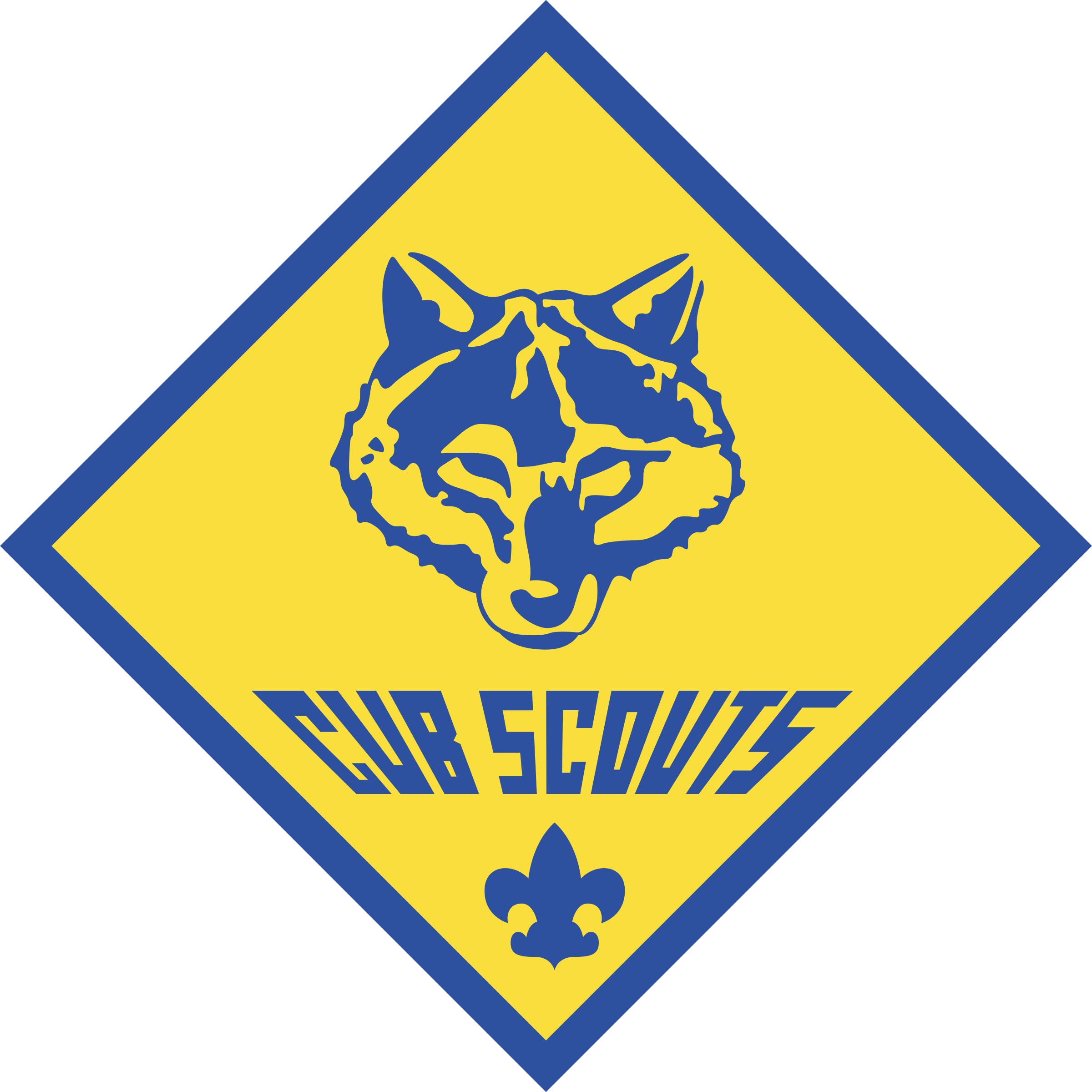 Cub Scout Day