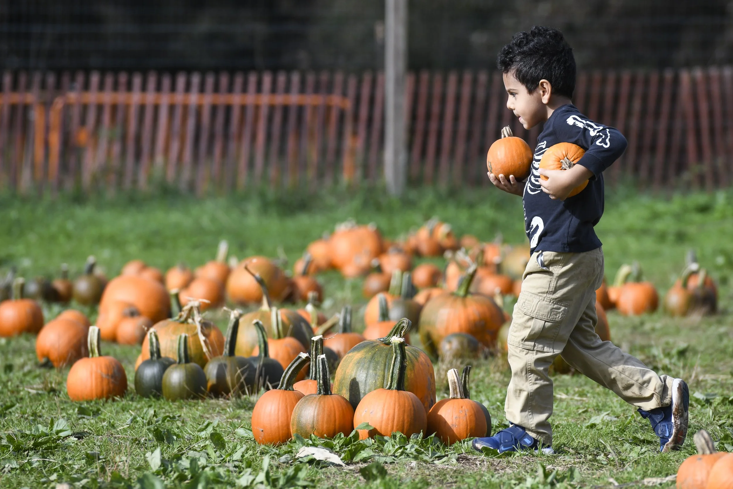 103021_DeckerFarm-5778 (1).jpg