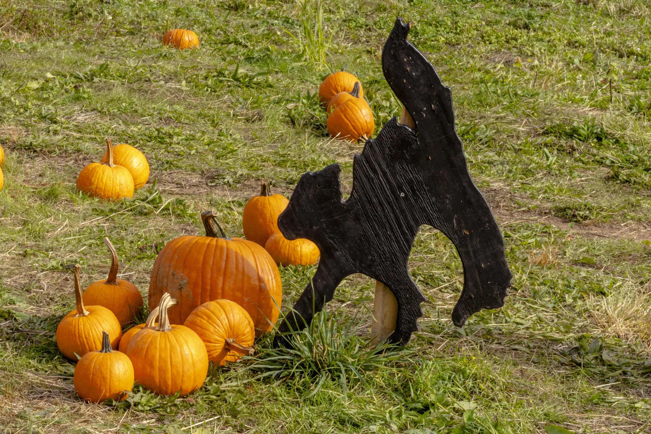 Decker FarmOct 2025_Jahtiek Long #_50 copy.jpg