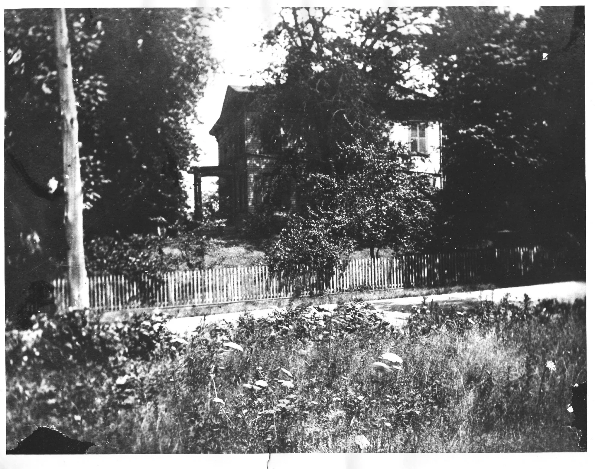 Stephens Prier 1895.jpg
