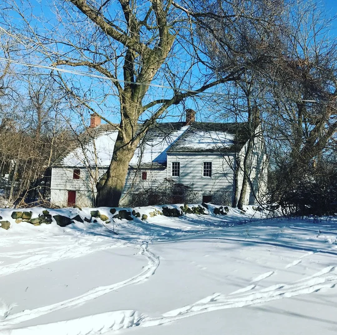 Treasure House in the Snow, Sarah Hermann 2015.jpg