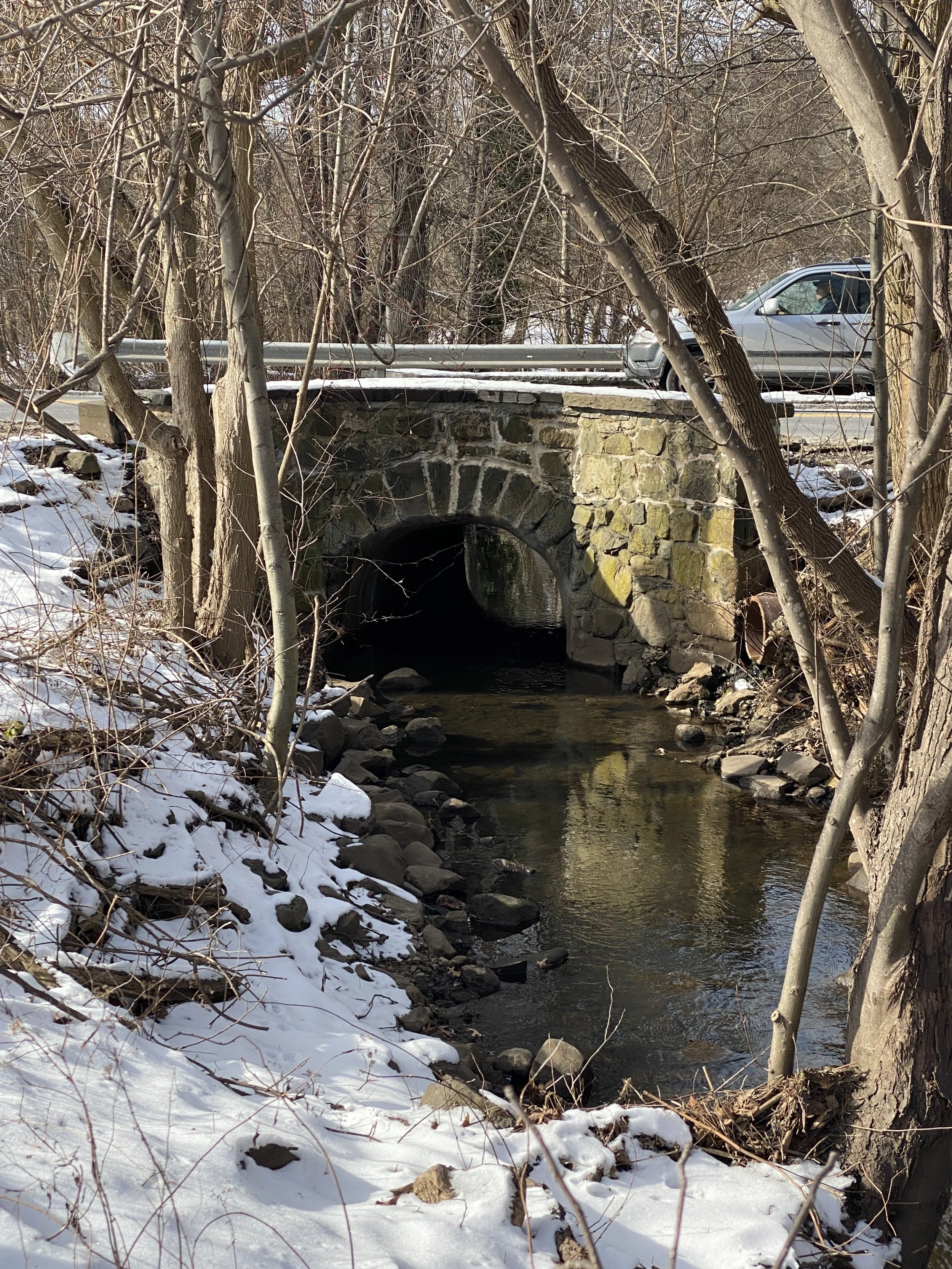 Town Bridge 2024 SW.JPG
