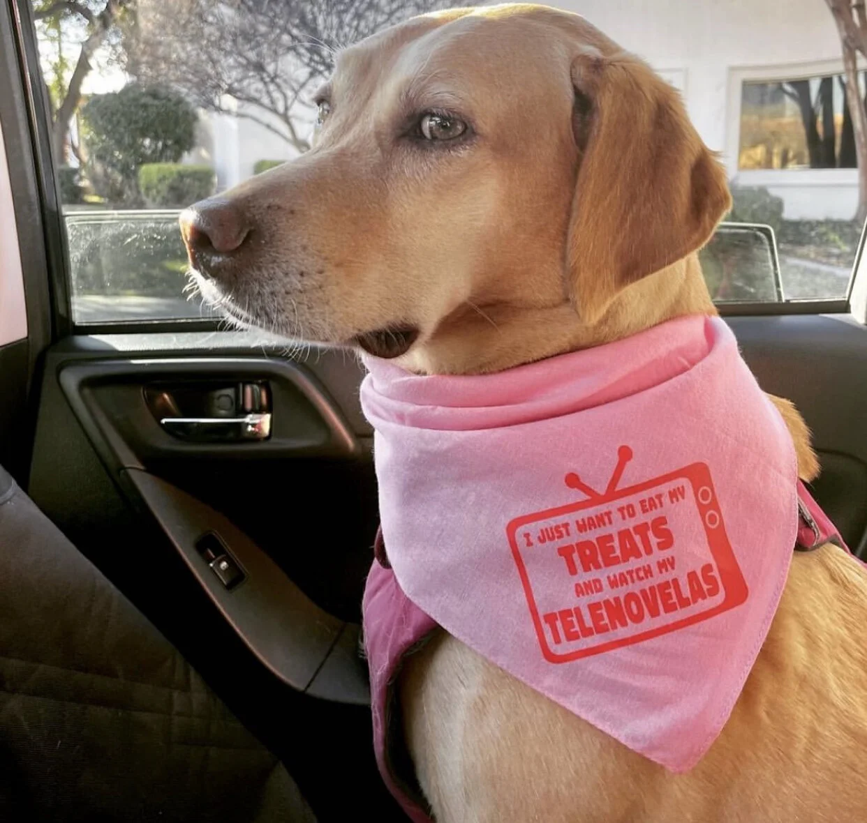 E7CF2140-4548-4B13-9688-5C21DDBC8FEE