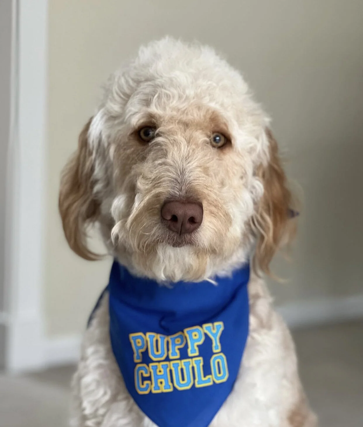 4BD4180C-DA33-4C0A-B5D6-7850B92E7701