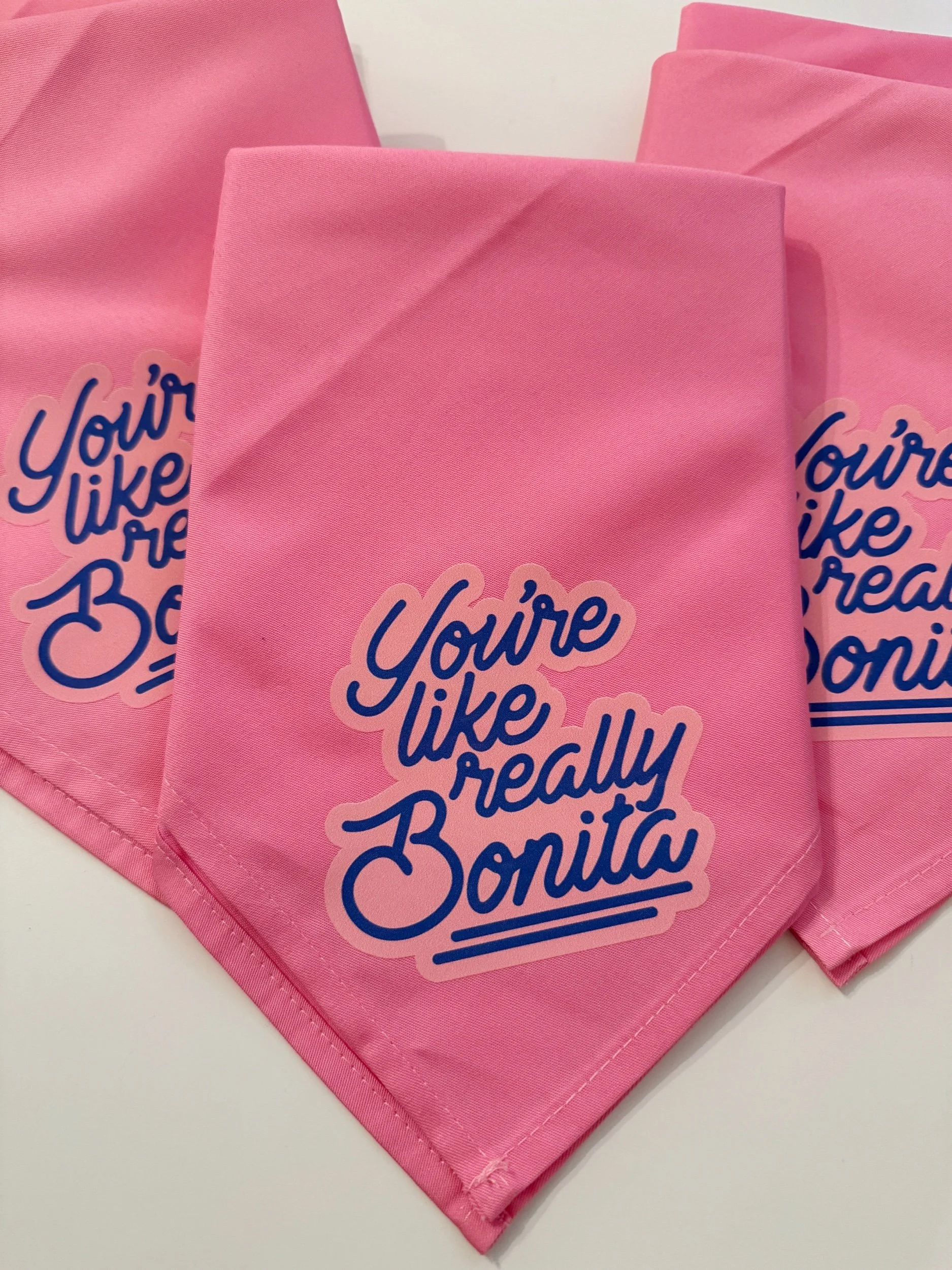 BDB51D32-43D0-4A01-8A0F-40A9B8CC781A