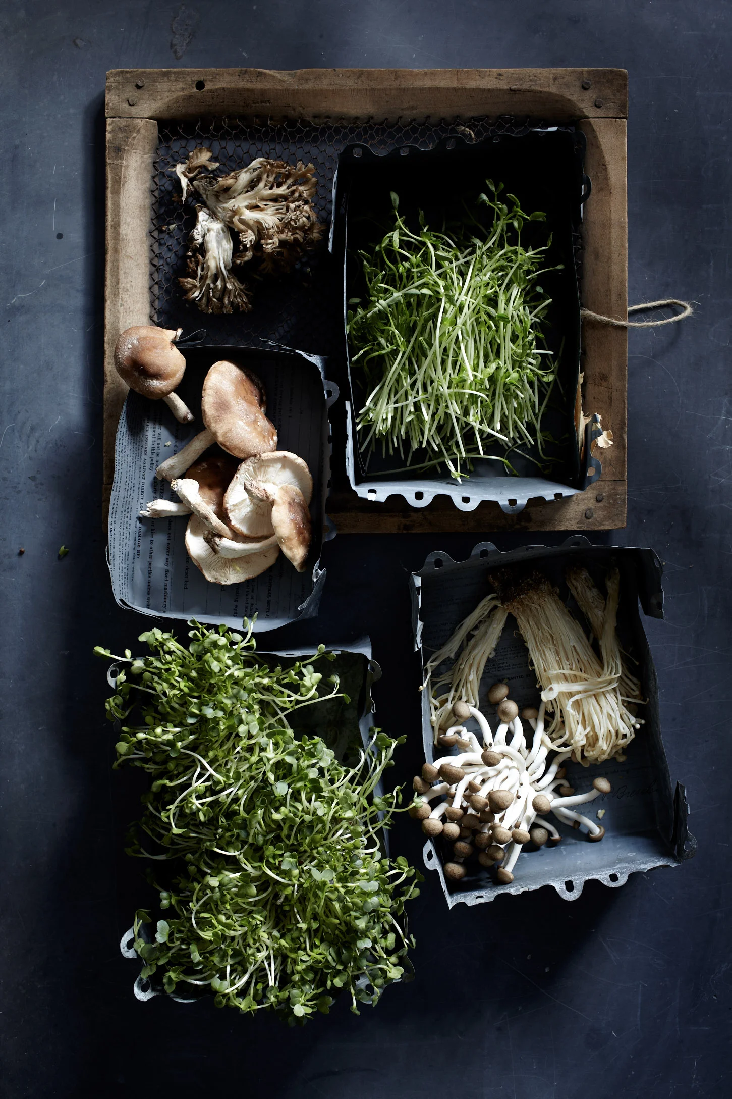 randazzoblau-food-still-life