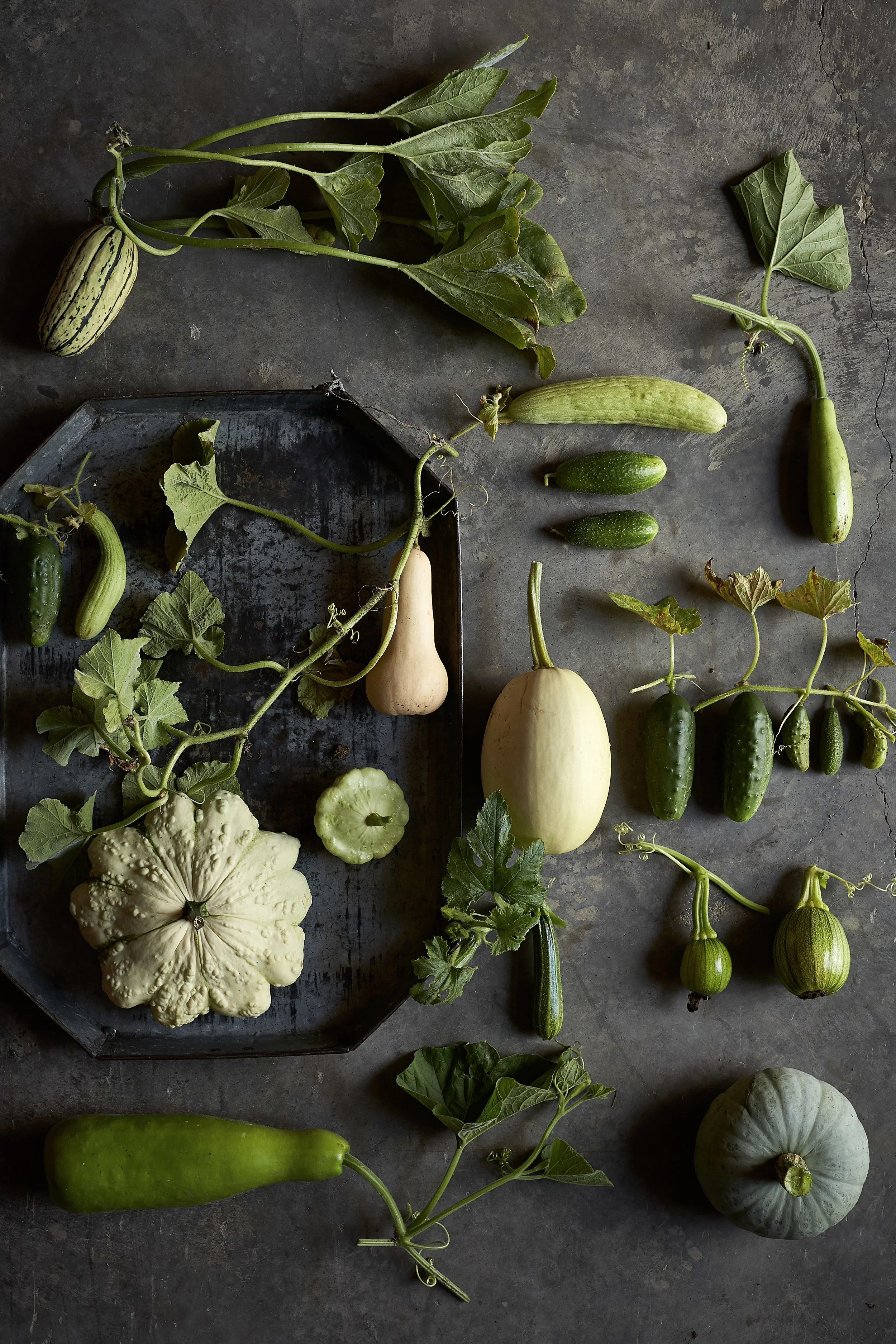 randazzoblau-still-life