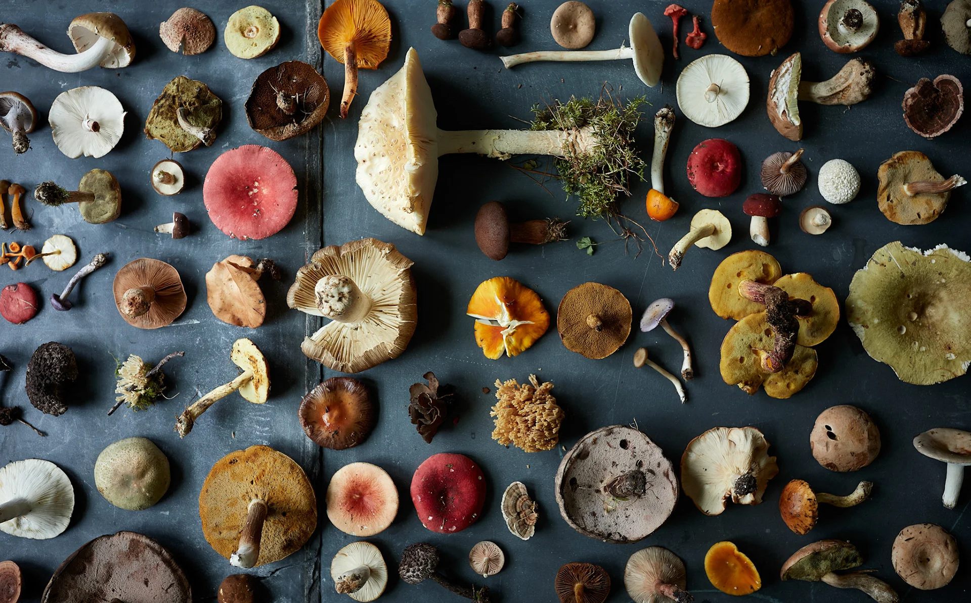 randazzoblau-still-life