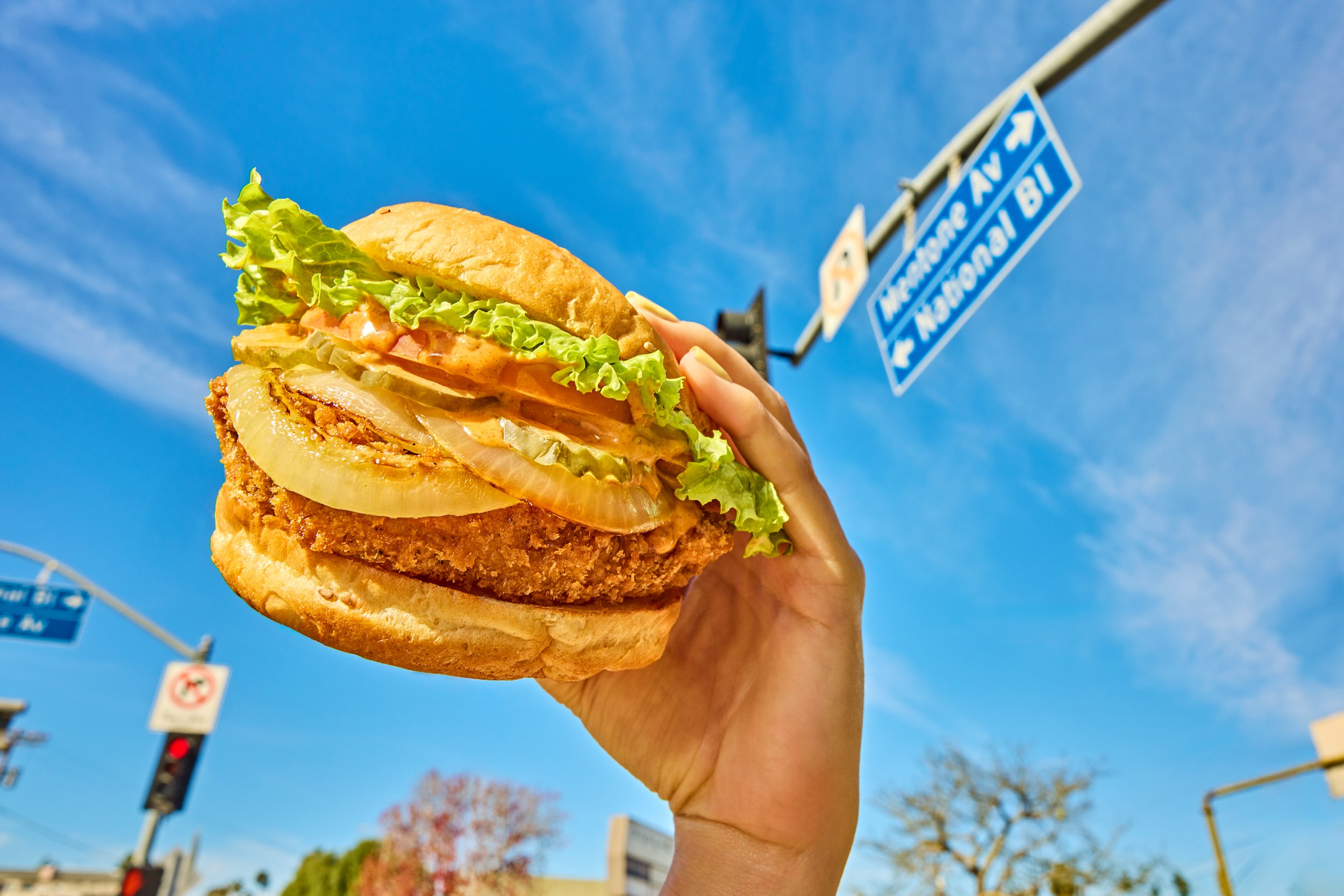 2025-12-28 VeganJoint6211Green.jpg