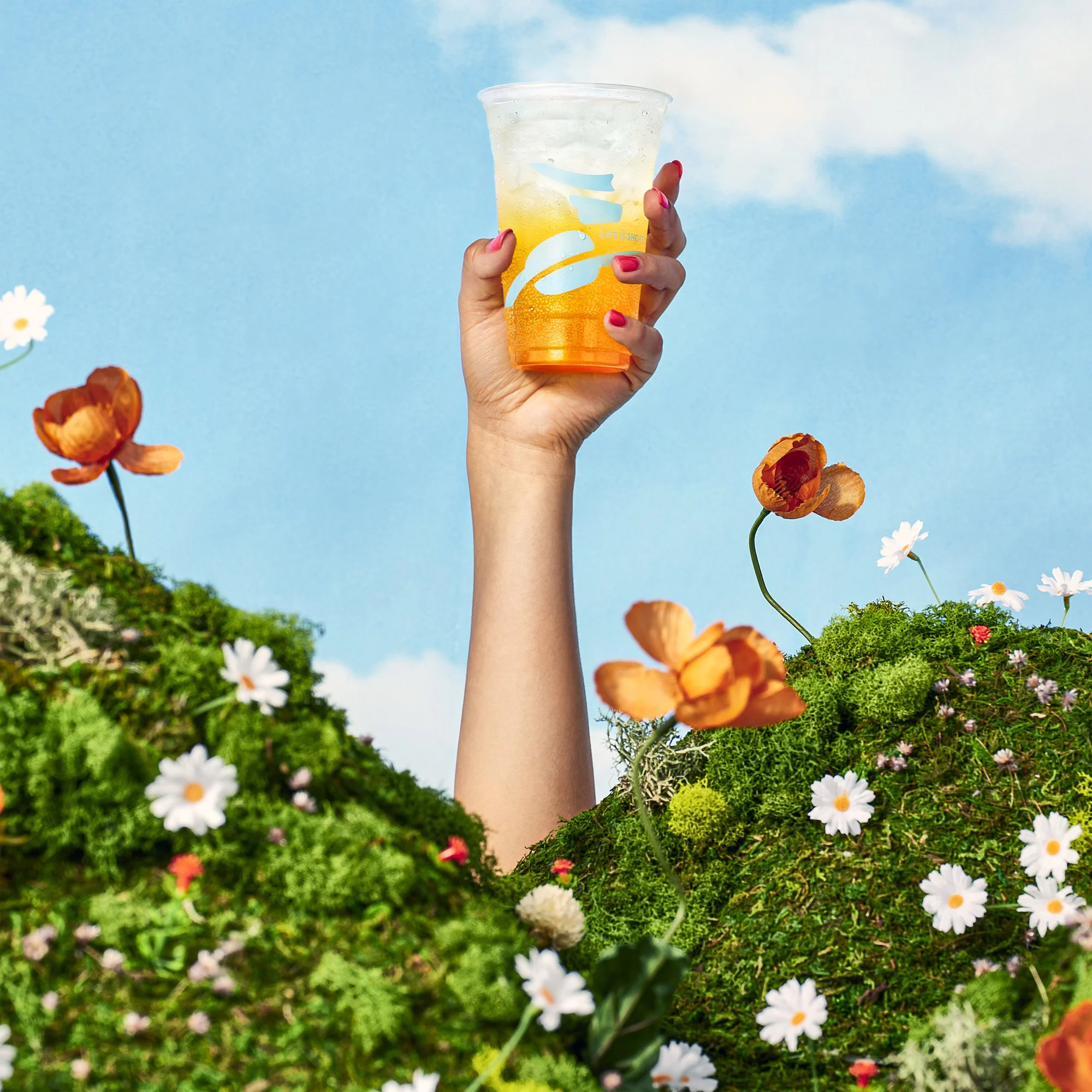 JOSH GRUBBS PHOTOGRAPHY