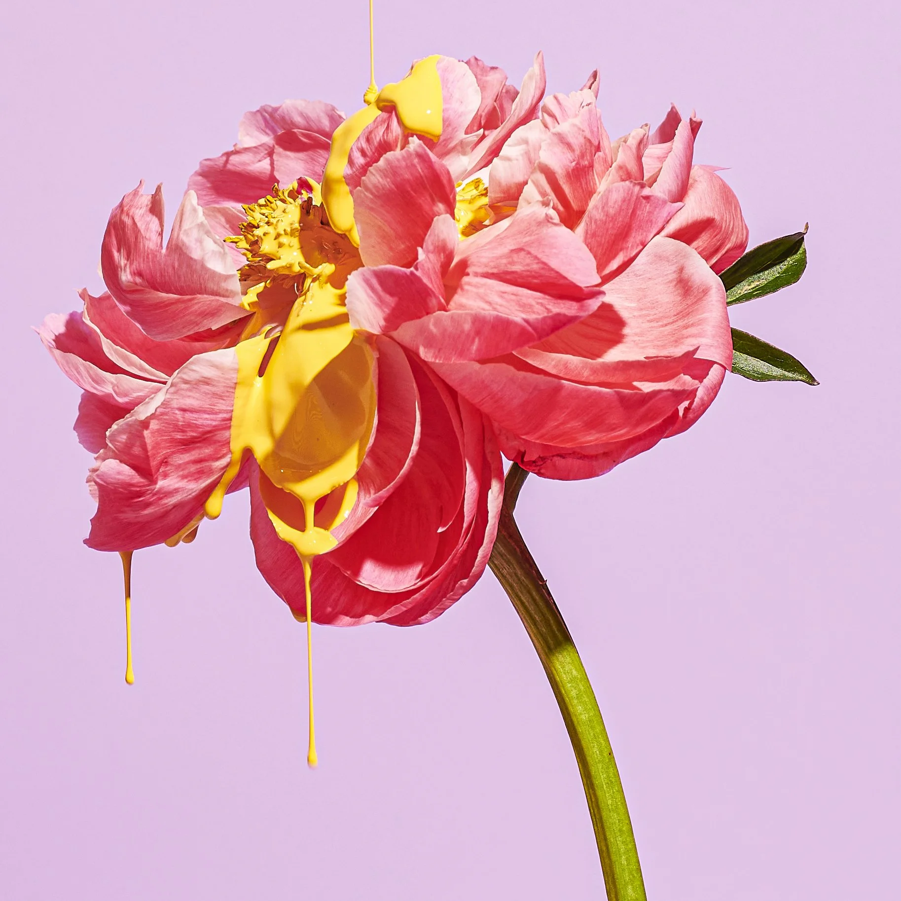 JOSH GRUBBS PHOTOGRAPHY