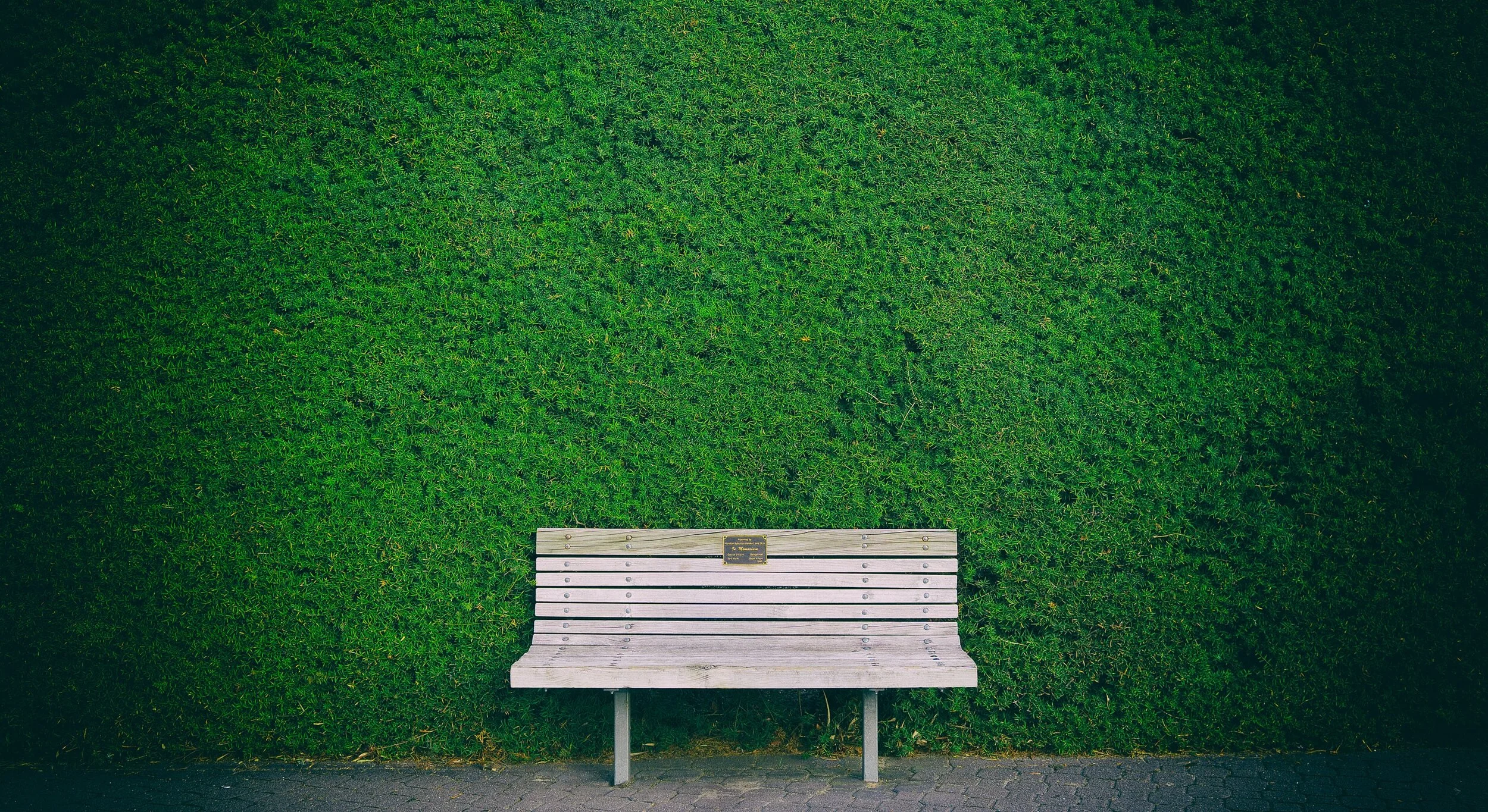 hal-ozart-MyRBq7GoVK0-unsplash.jpg