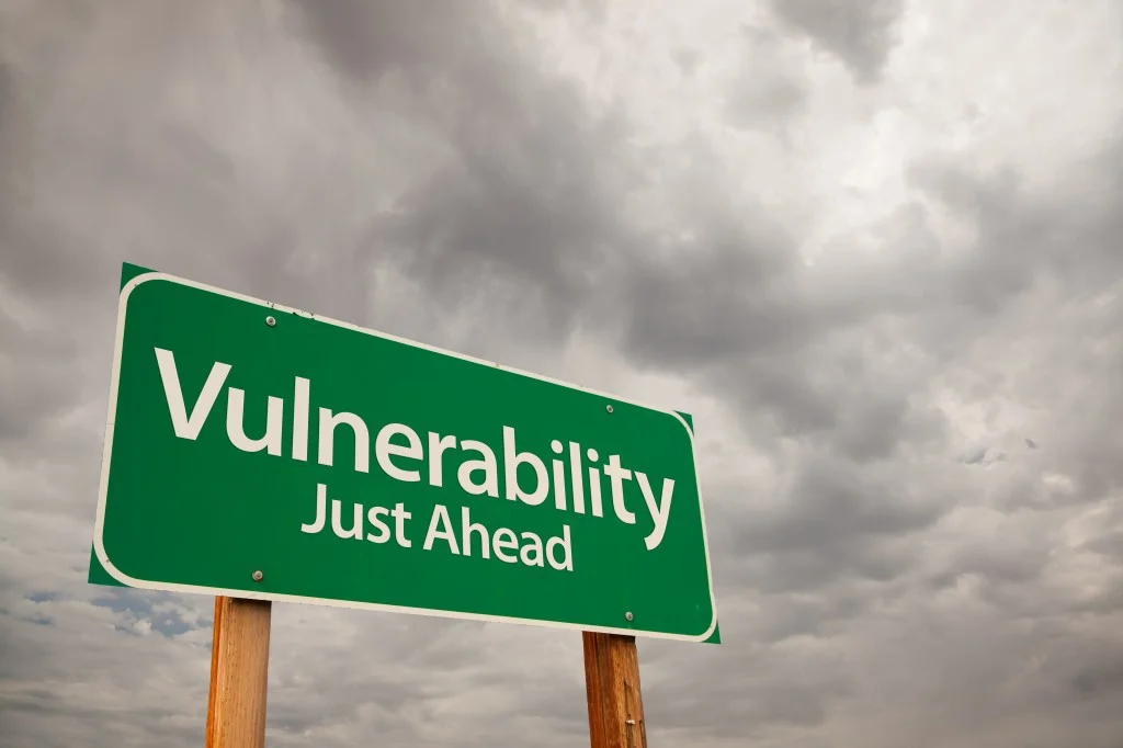 vulnerability.jpg