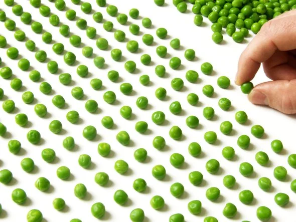 ocd.jpg