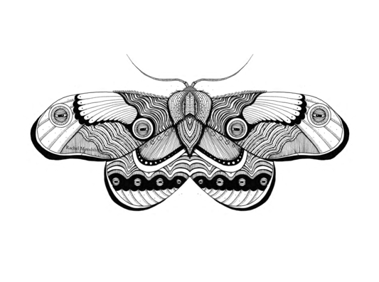 Screen Shot 2019-07-14 at 1.35.08 PM.png