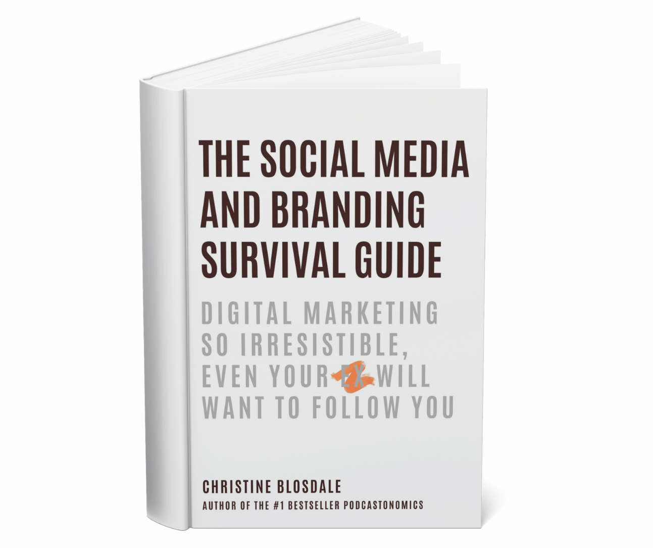 The Social Media and Branding Survival Guide written by Christine Blosdale