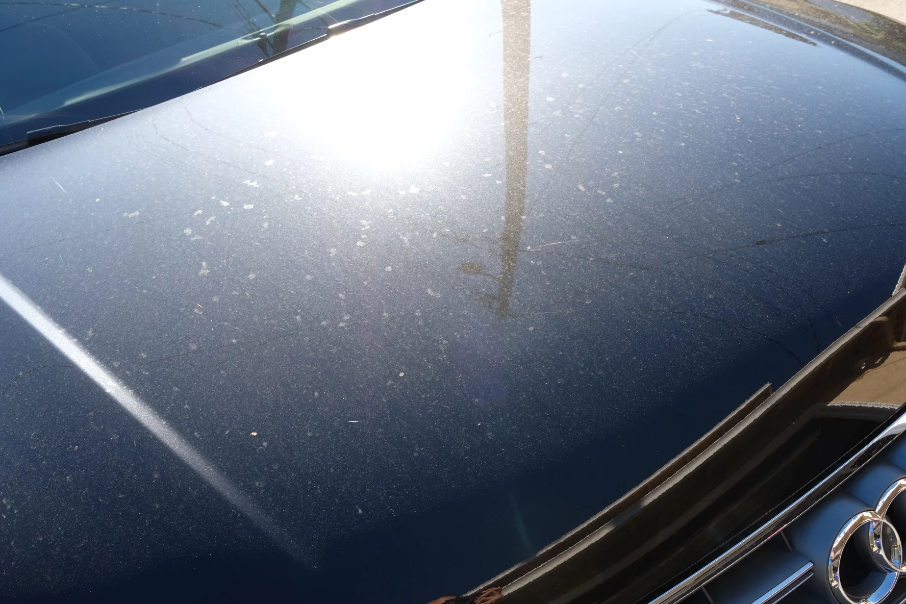 2017-09-23 08.52.20.jpg