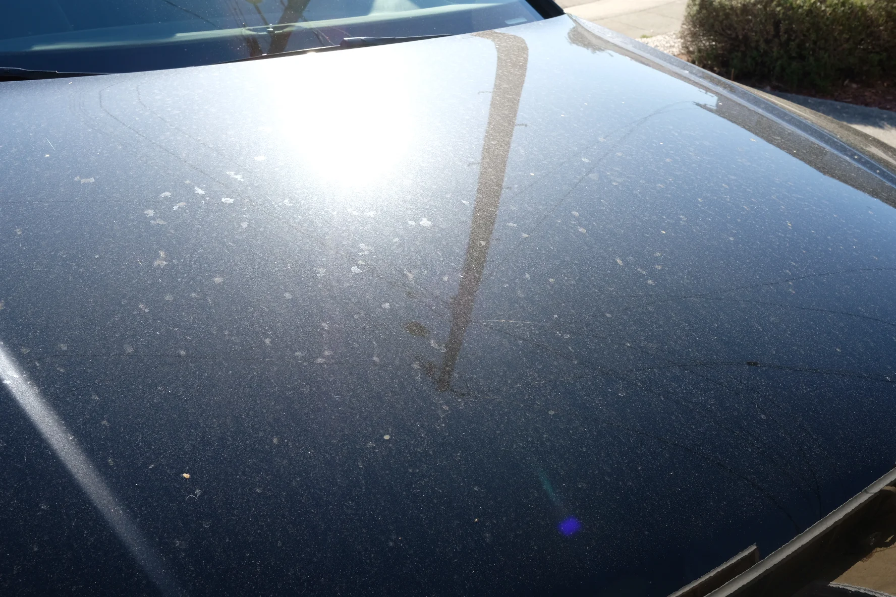 2017-09-23 08.52.18.jpg