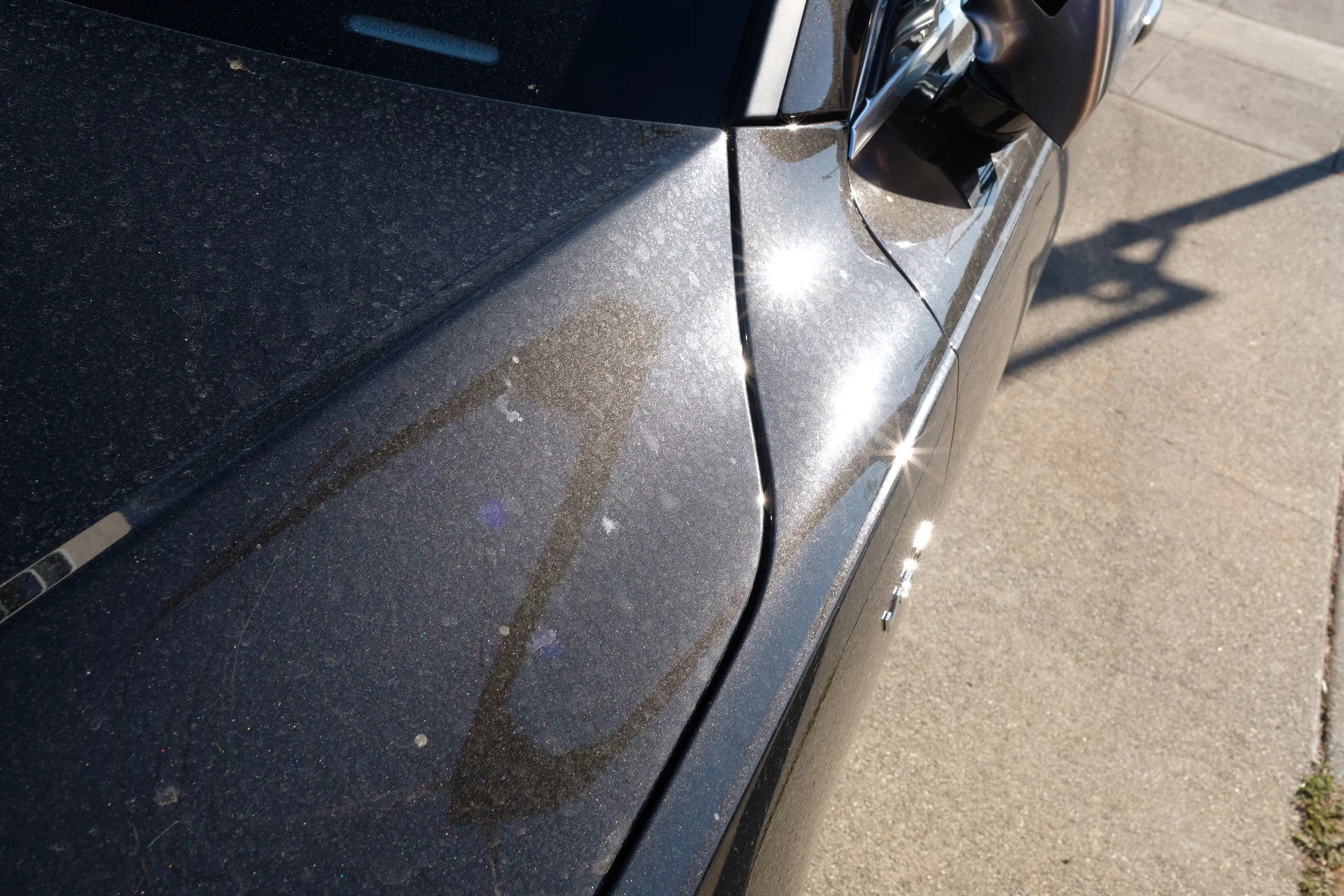 2017-09-23 08.52.27.jpg