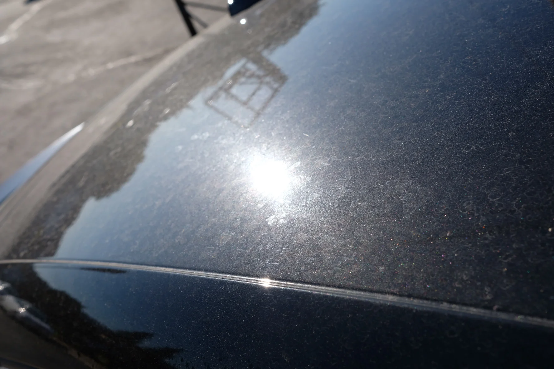 2017-09-23 08.52.57.jpg