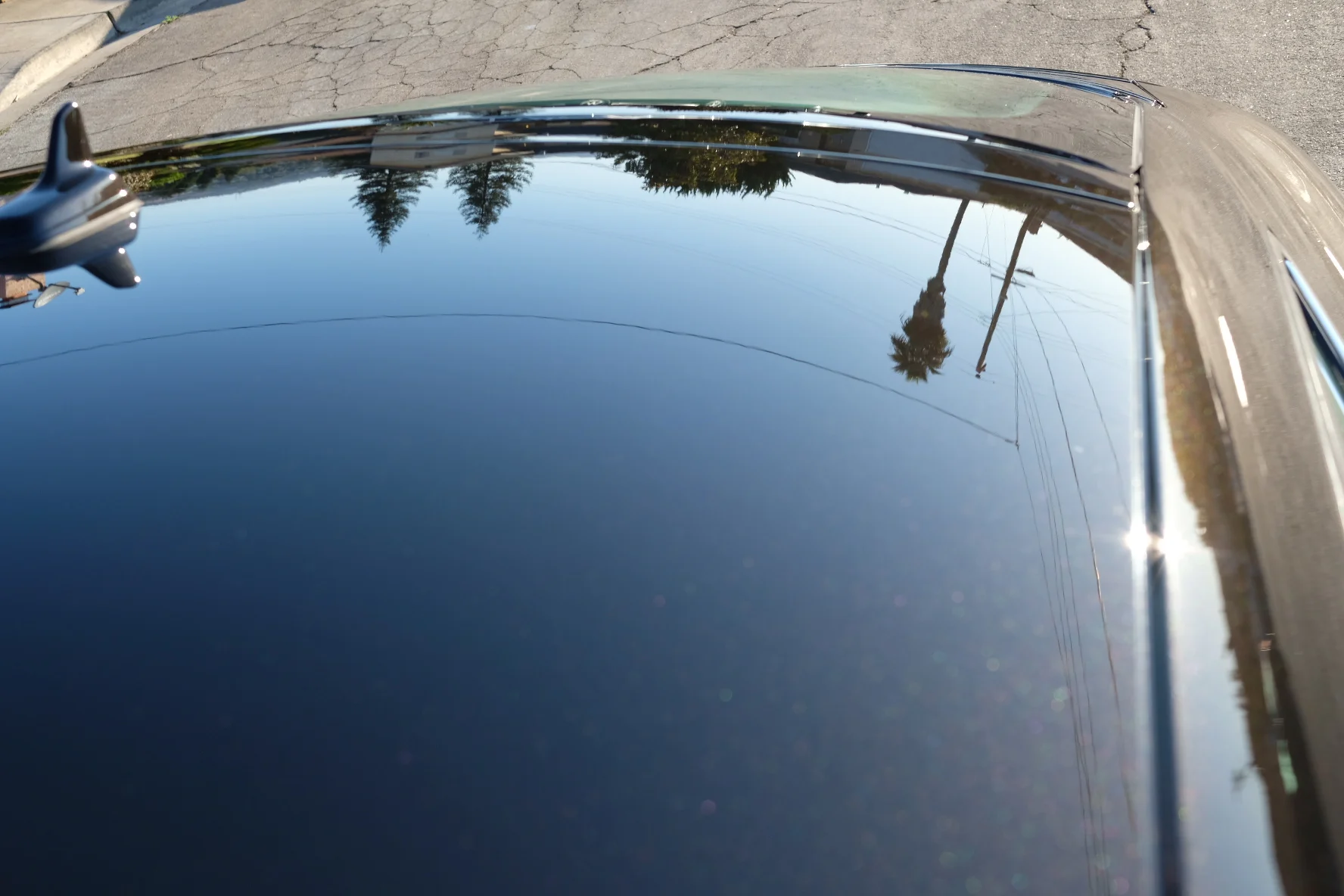 2017-09-24 08.09.42.jpg