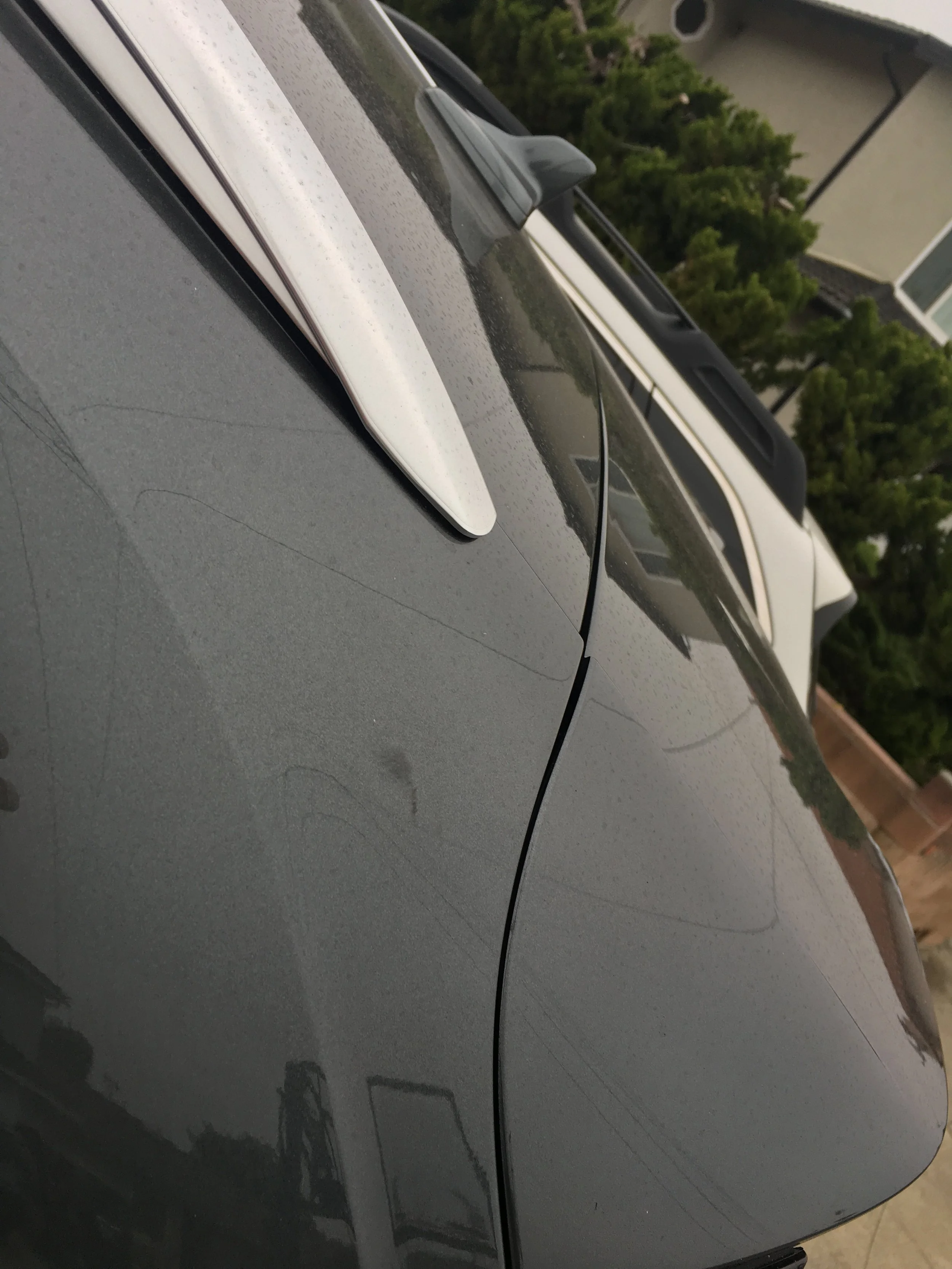 2017-09-09 07.59.38.jpg