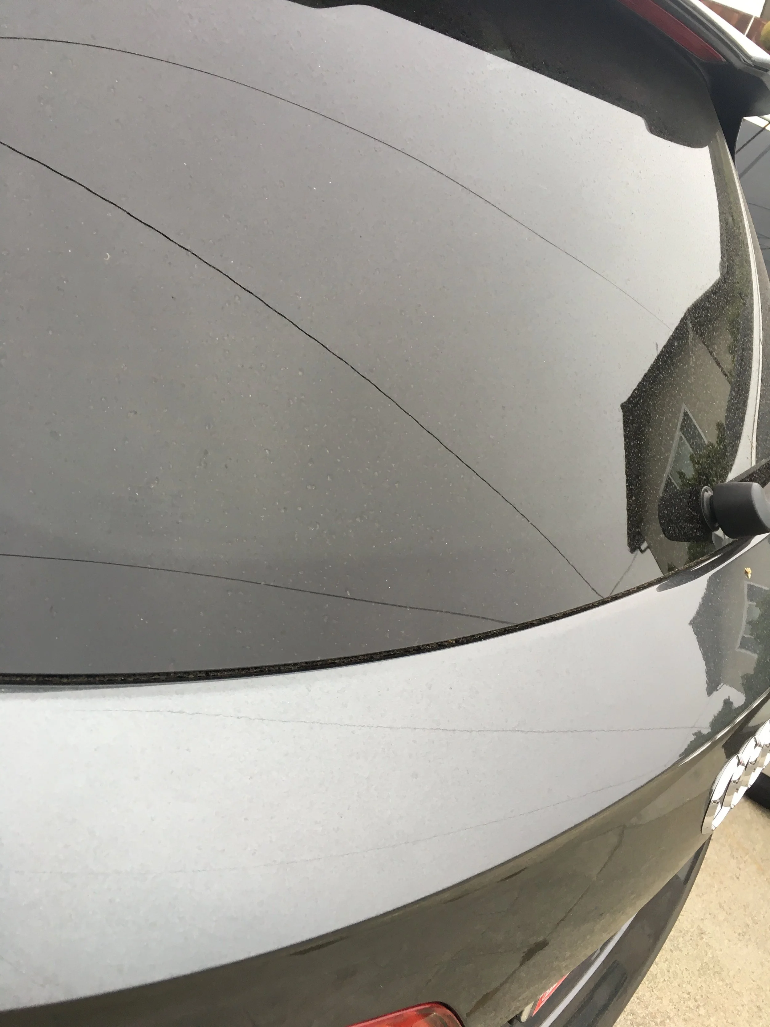 2017-09-09 07.59.41.jpg