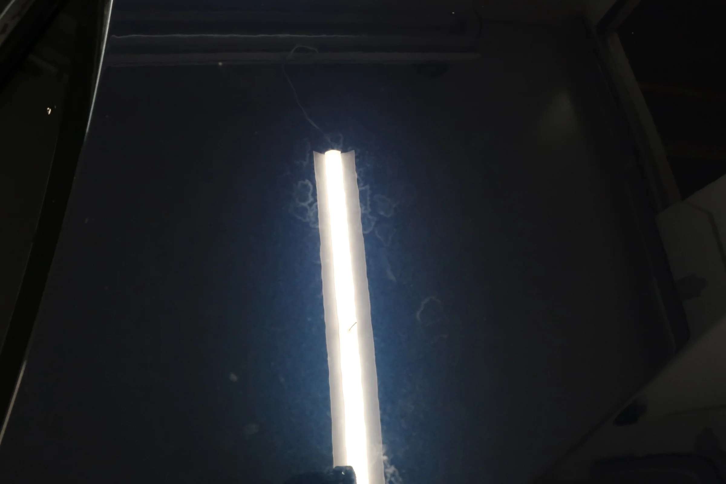 2017-07-07 13.02.41.jpg