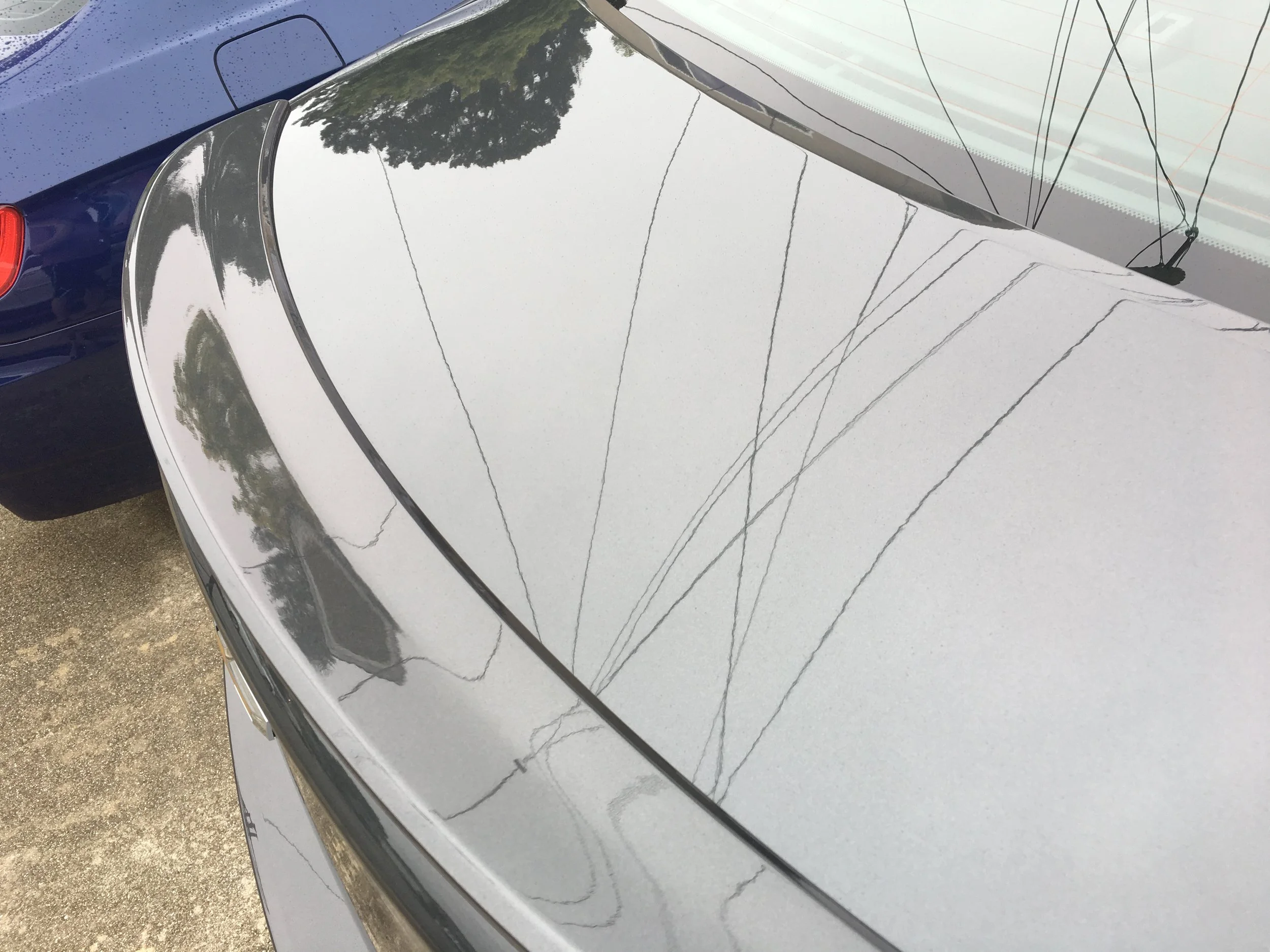 2017-04-16 15.29.12.jpg