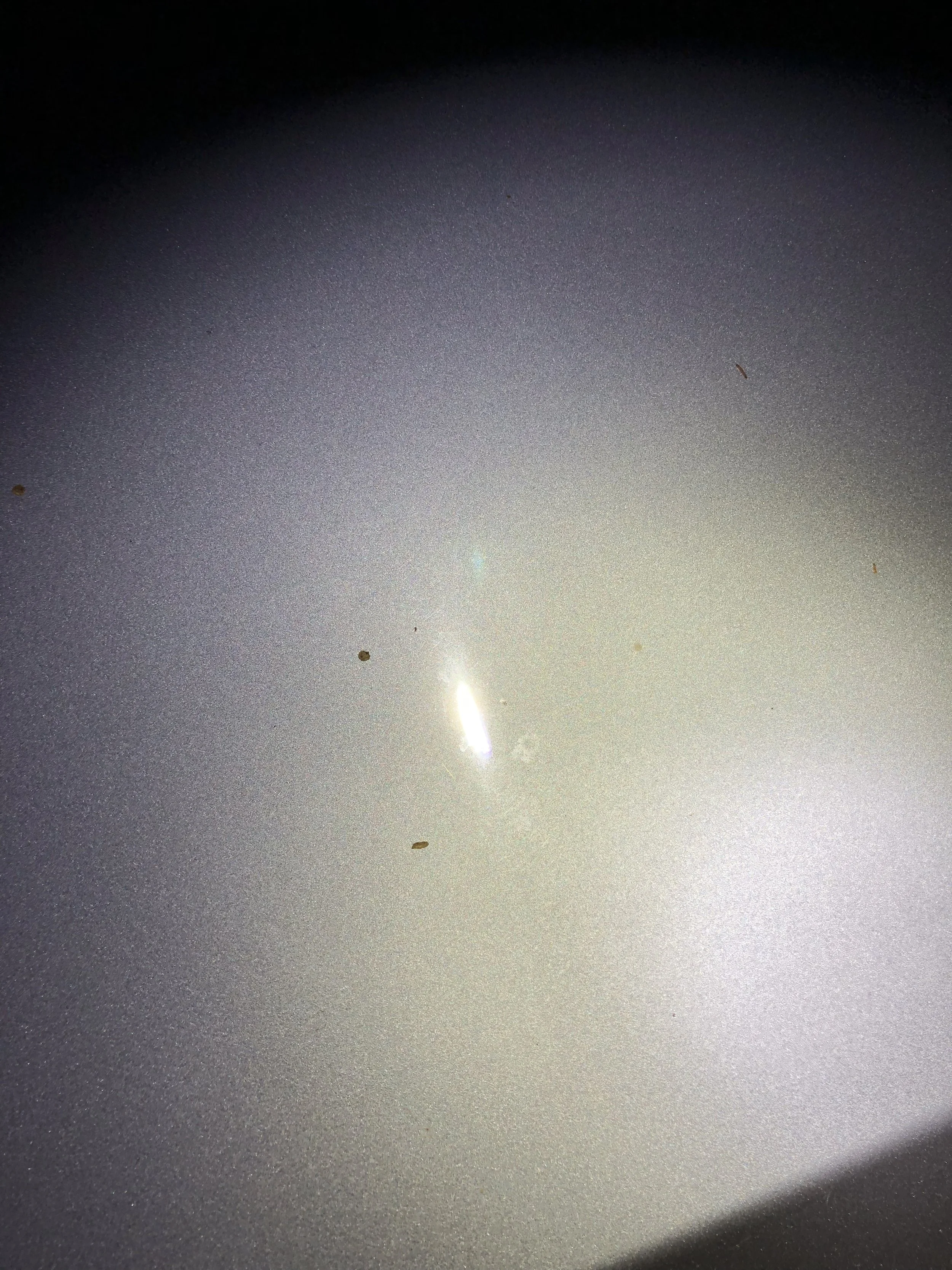 2018-06-29 20.35.34.jpg